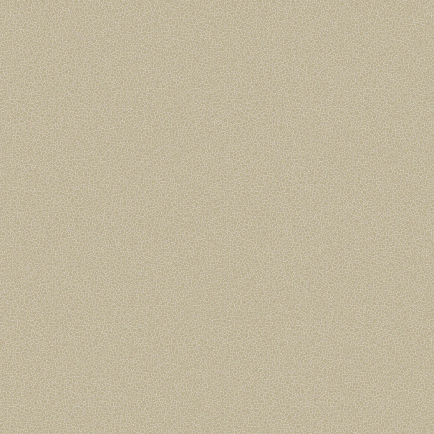 Cole & Son Goldstone in Stone & Gilver (107/9042.CS.0)