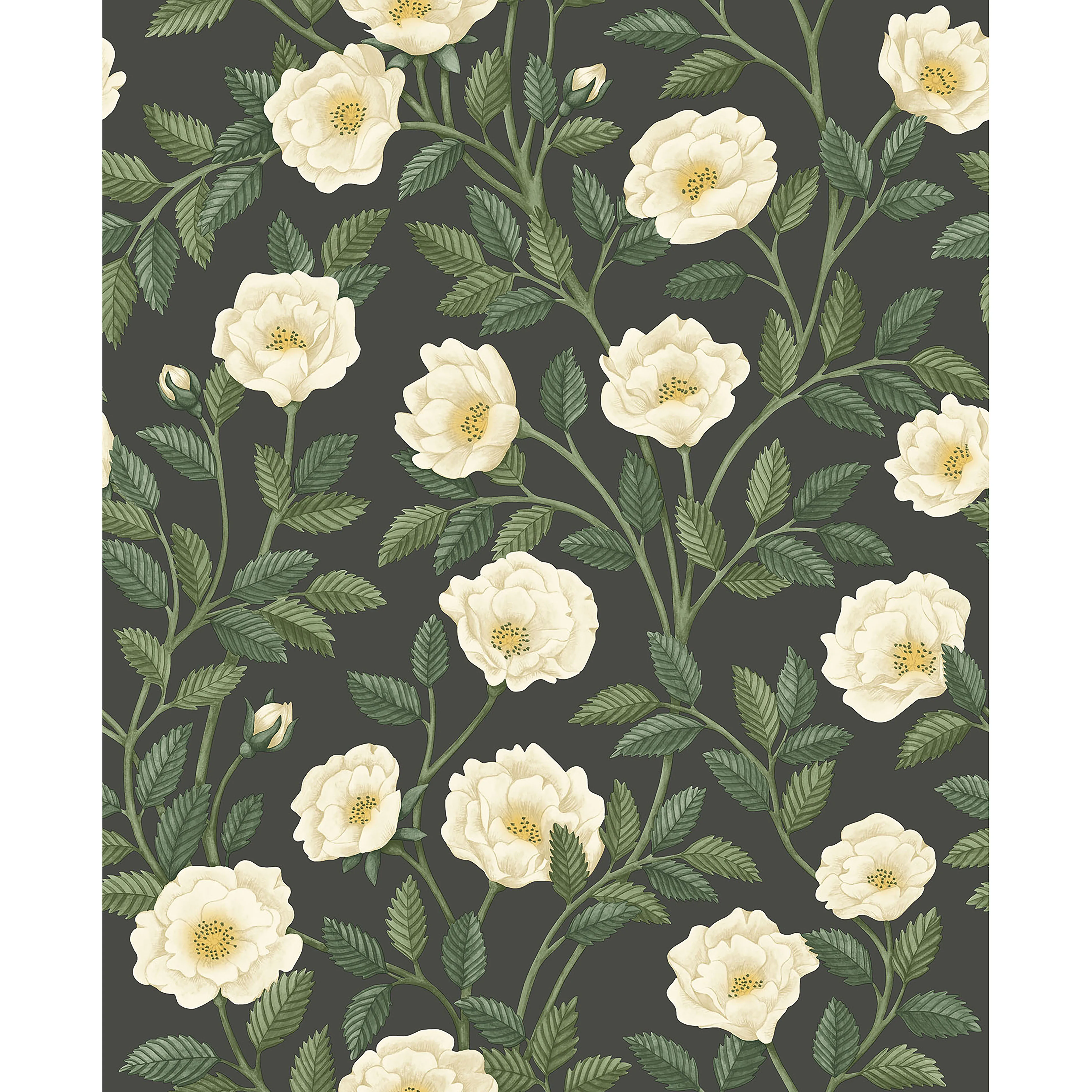 Cole & Son Hampton Roses in Crm&fgrn/Ch (118/7016.CS.0)