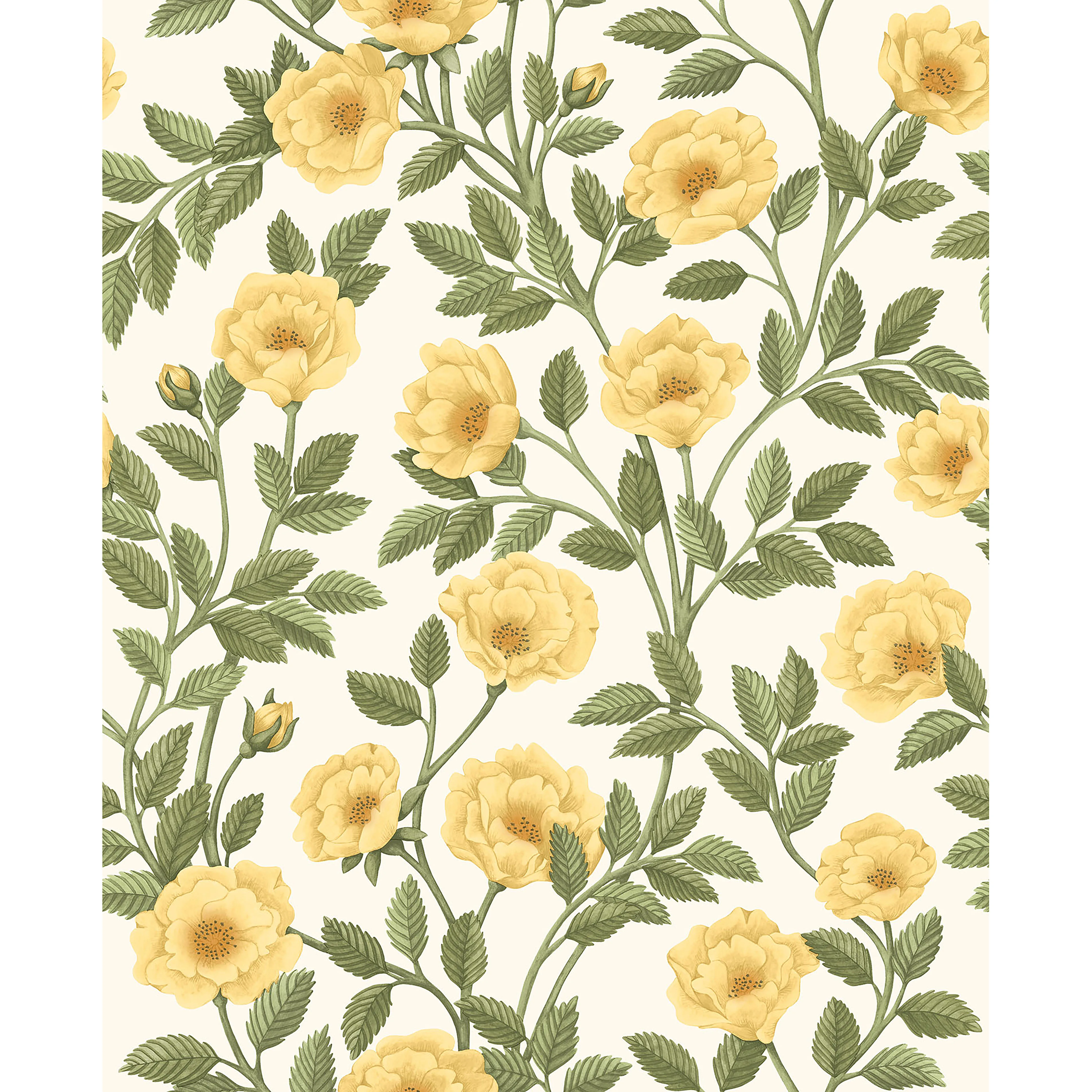 Cole & Son Hampton Roses in Mrg&ogrn/Wh (118/7015.CS.0)