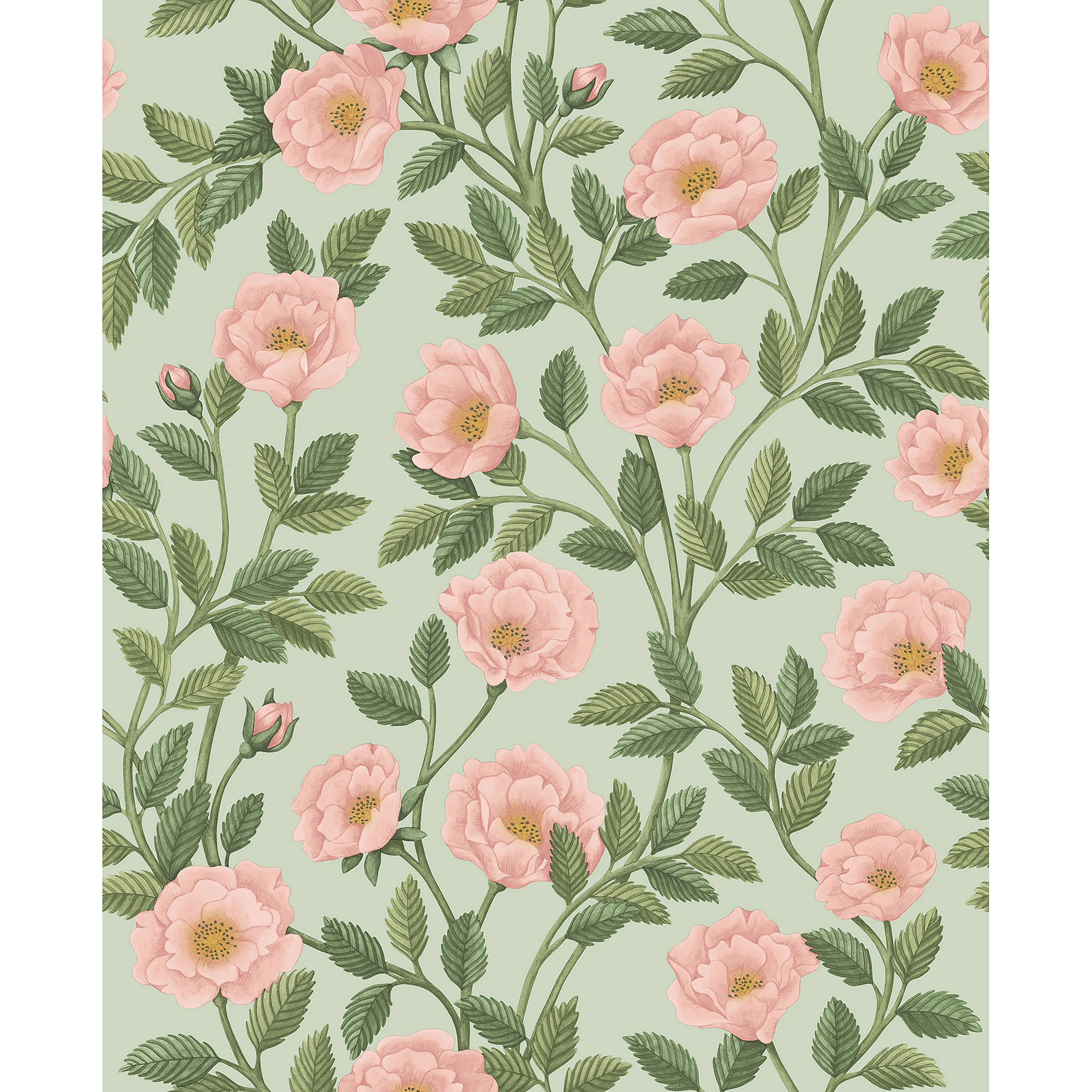 Cole & Son Hampton Roses in R&lgrn/Degg (118/7014.CS.0)