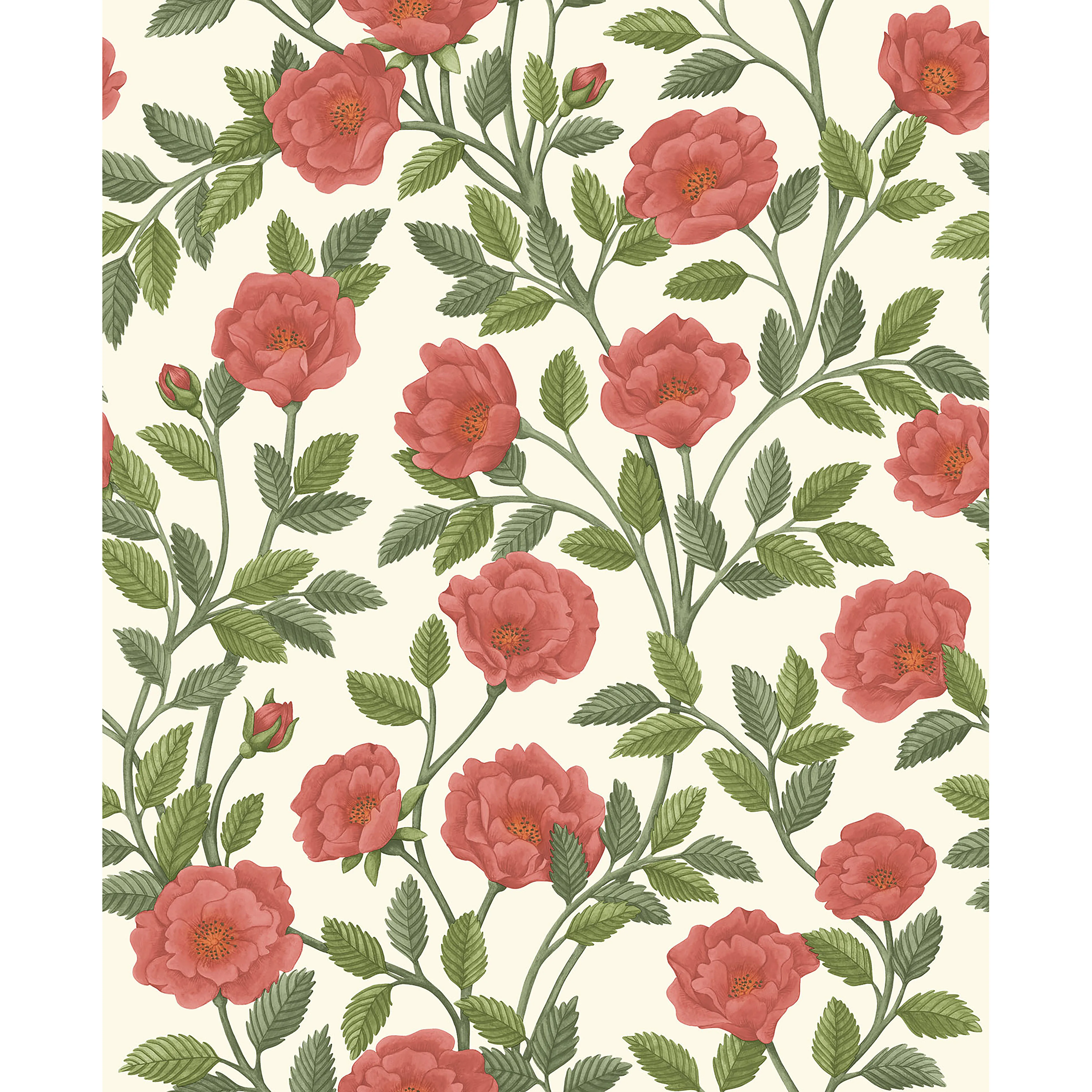 Cole & Son Hampton Roses in R&sgrn/Pmnt (118/7013.CS.0)