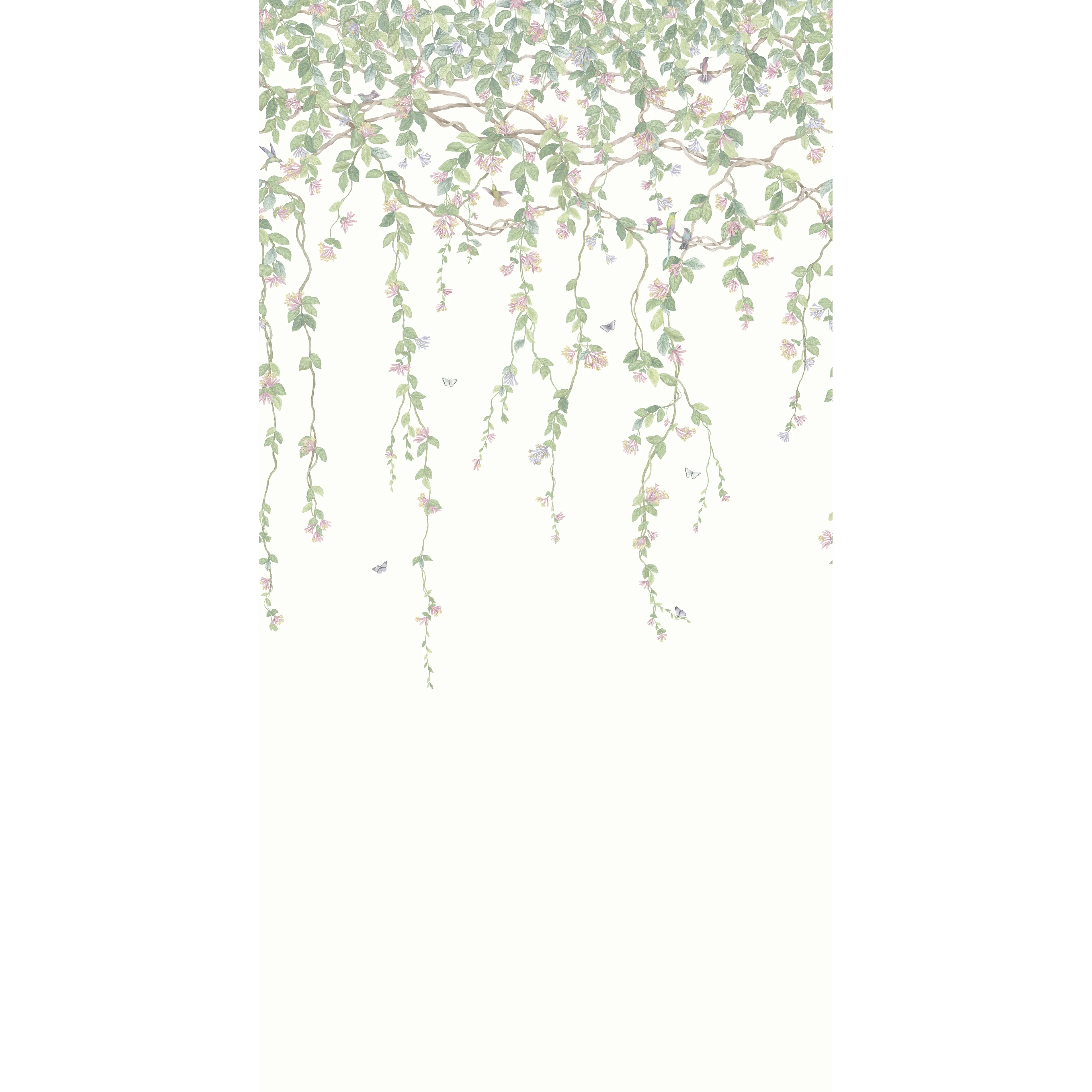 124/2008.CS.0 | Hummingbirds Flora – Blush