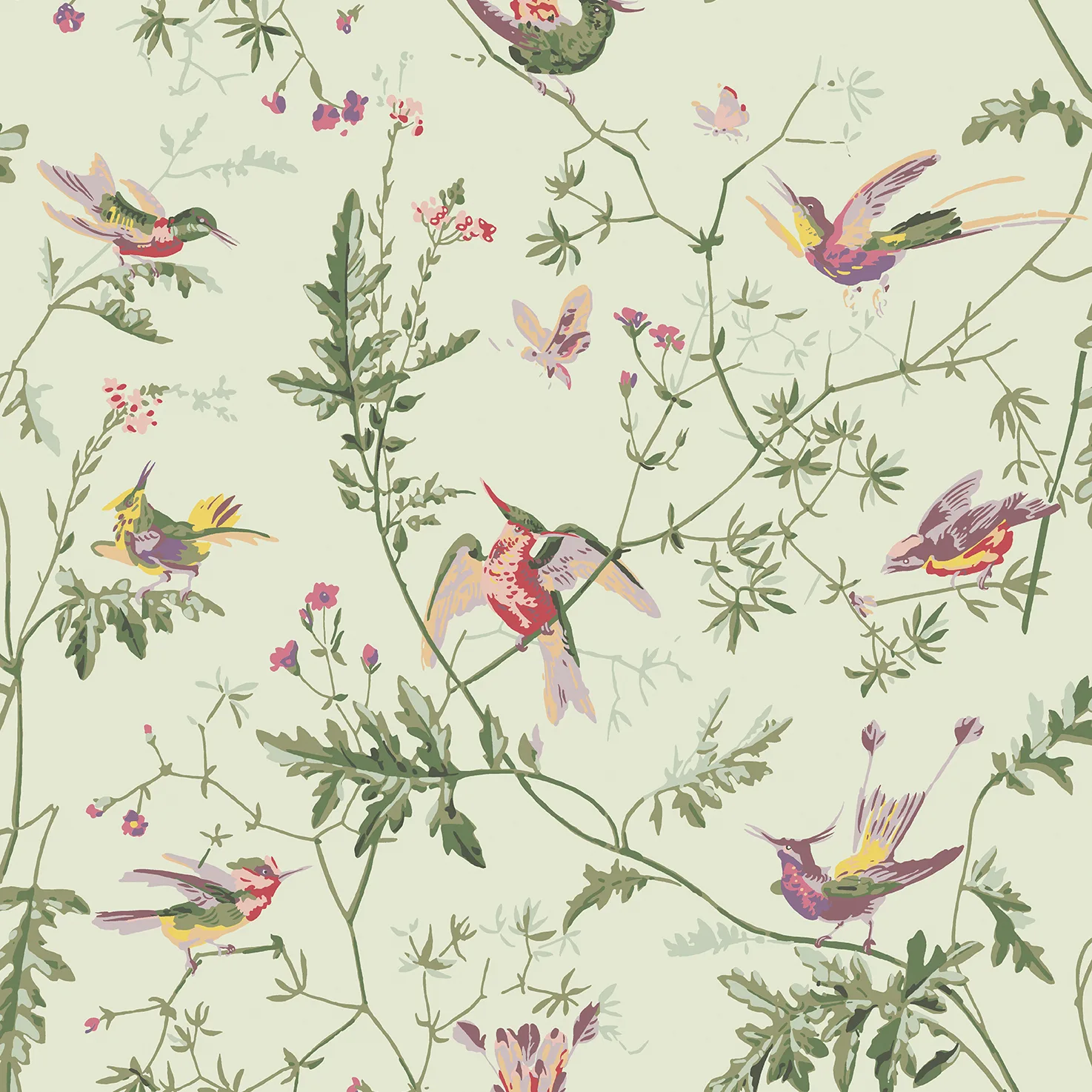 Cole & Son Hummingbirds in Green Multi-Colour (100/14070.CS.0)