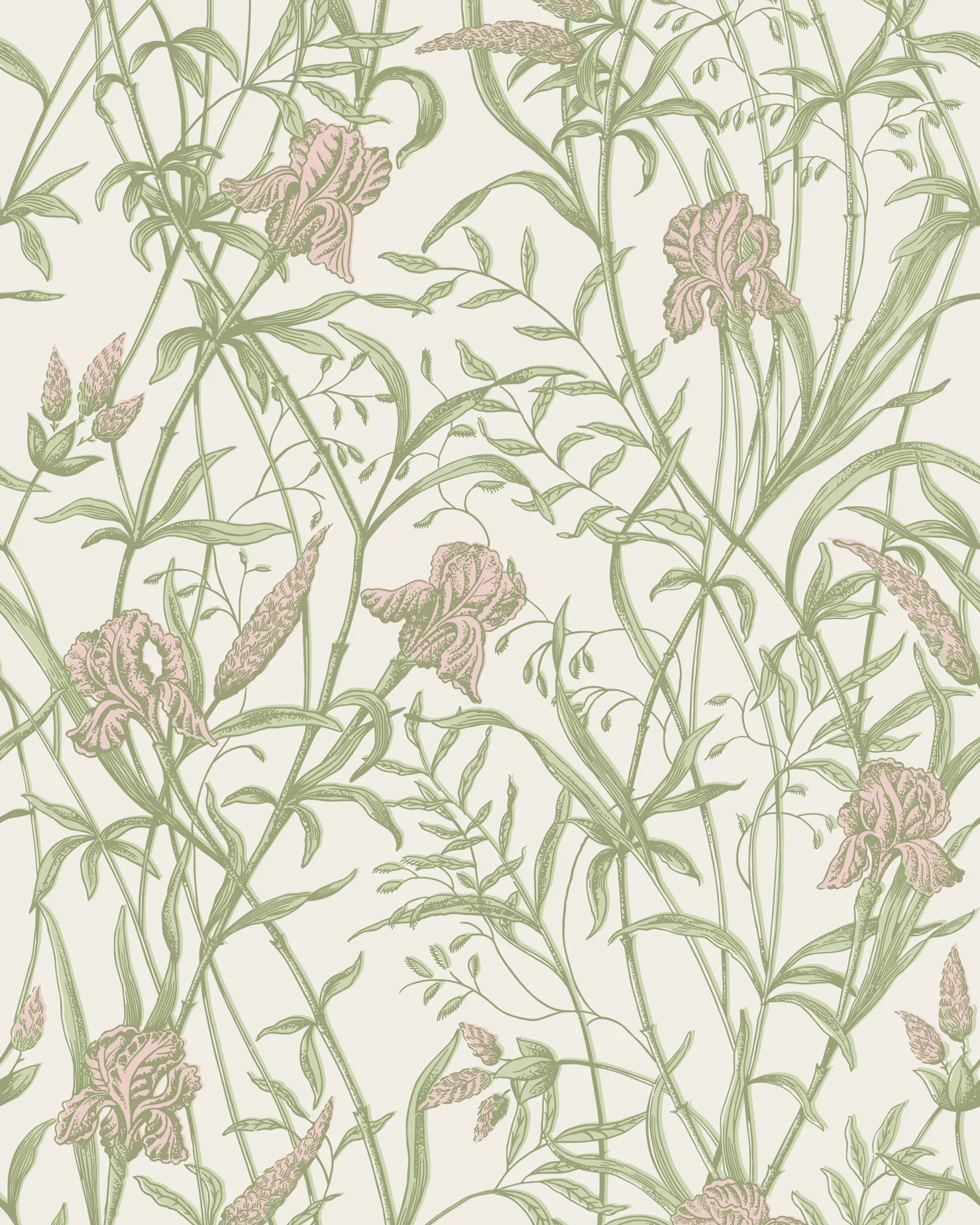 128/5025.CS.0 | Iris – Soft Coral on Chalk
