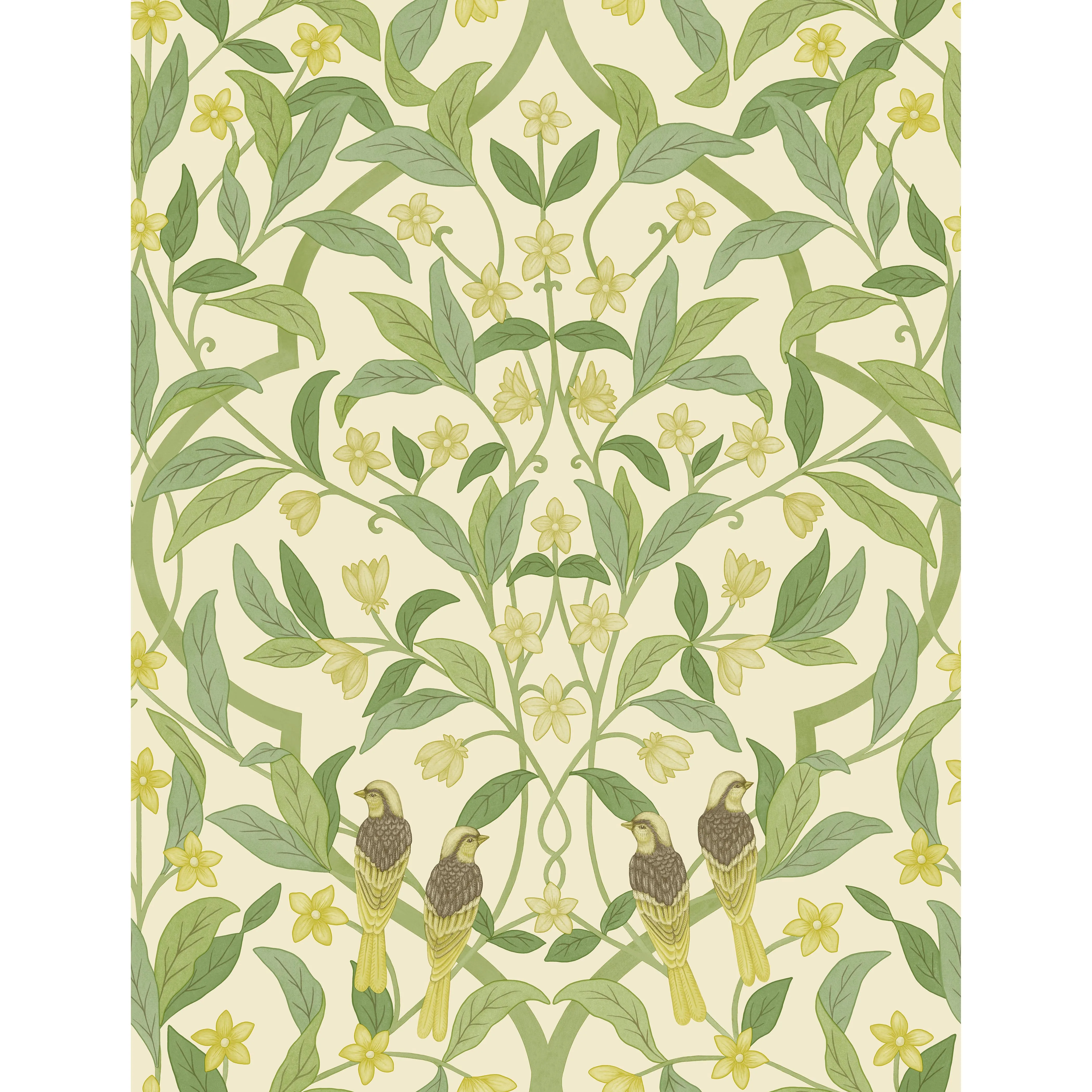 Cole & Son Jasmine & Serin Symphony in Chartreuse/Grn/Wt (117/10031.CS.0)