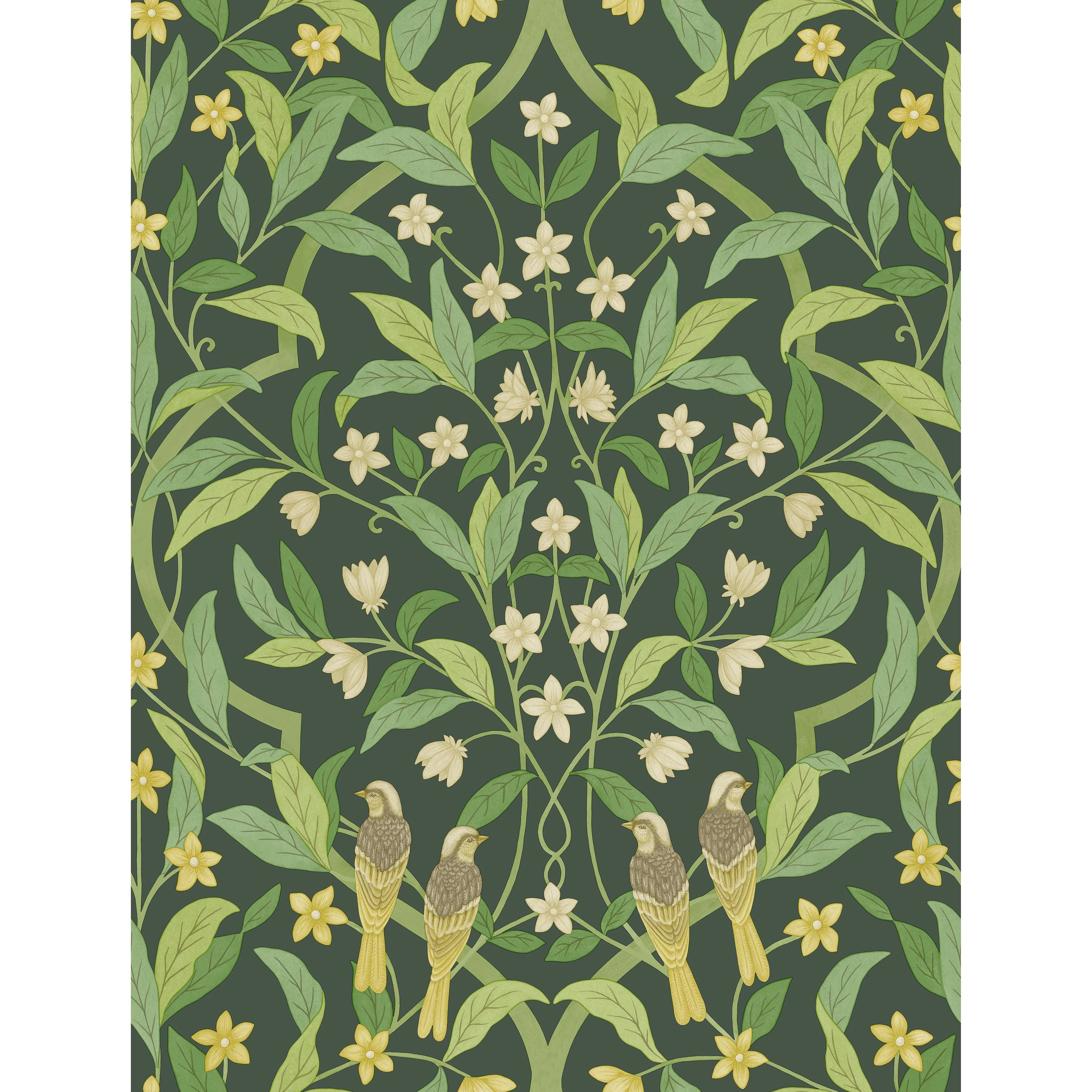 Cole & Son Jasmine & Serin Symphony in Yellow/Grn/Forest (117/10029.CS.0)