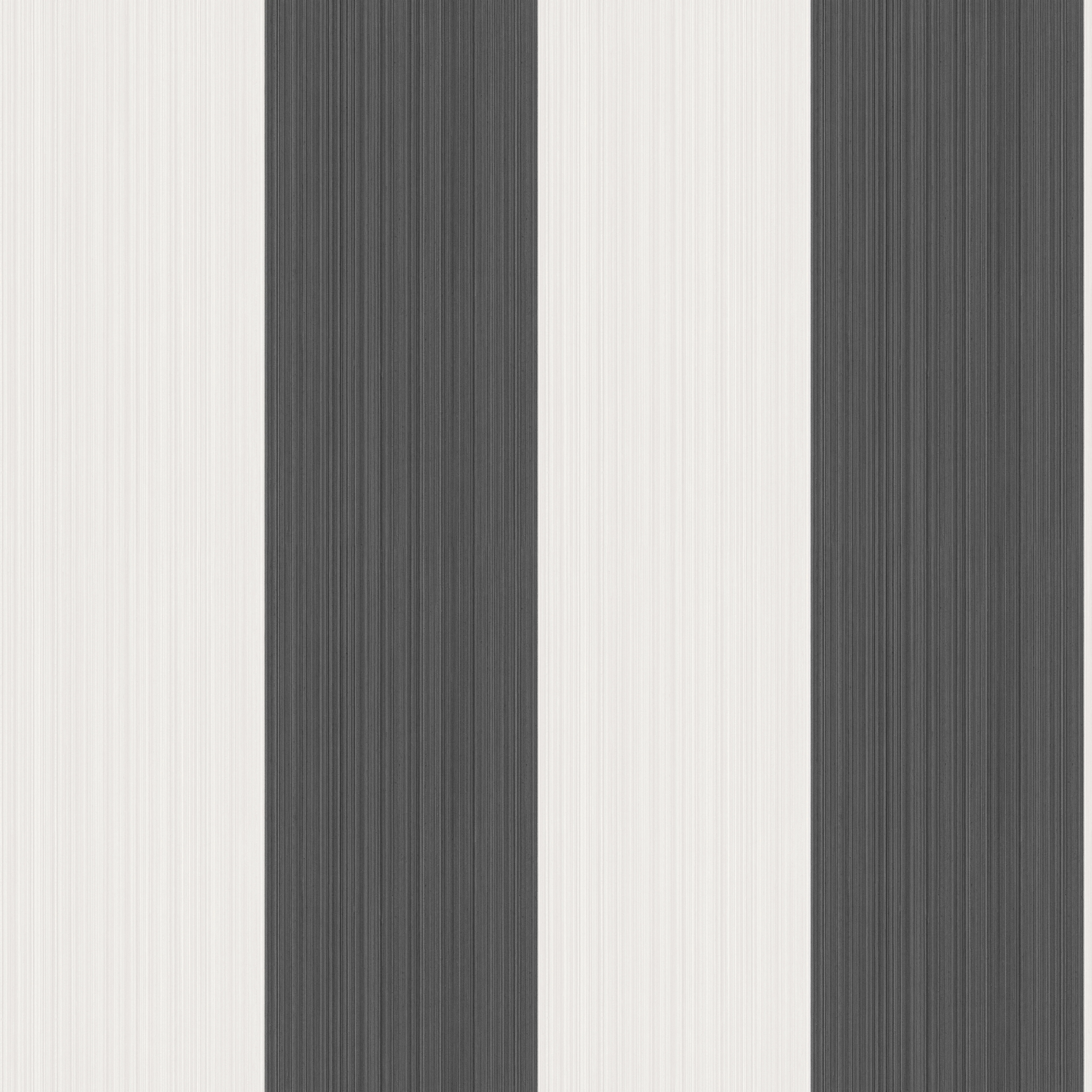Cole & Son Jaspe Stripe in Black + White (110/4025.CS.0)