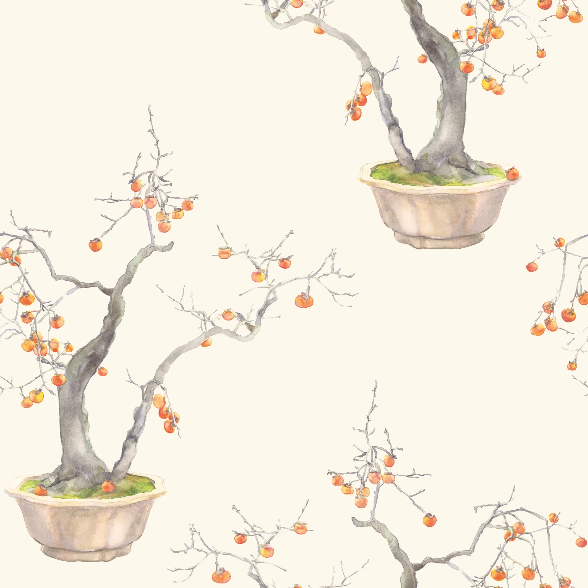 Cole & Son Kaki Persimmon in Bergamot (126/2003.CS.0)