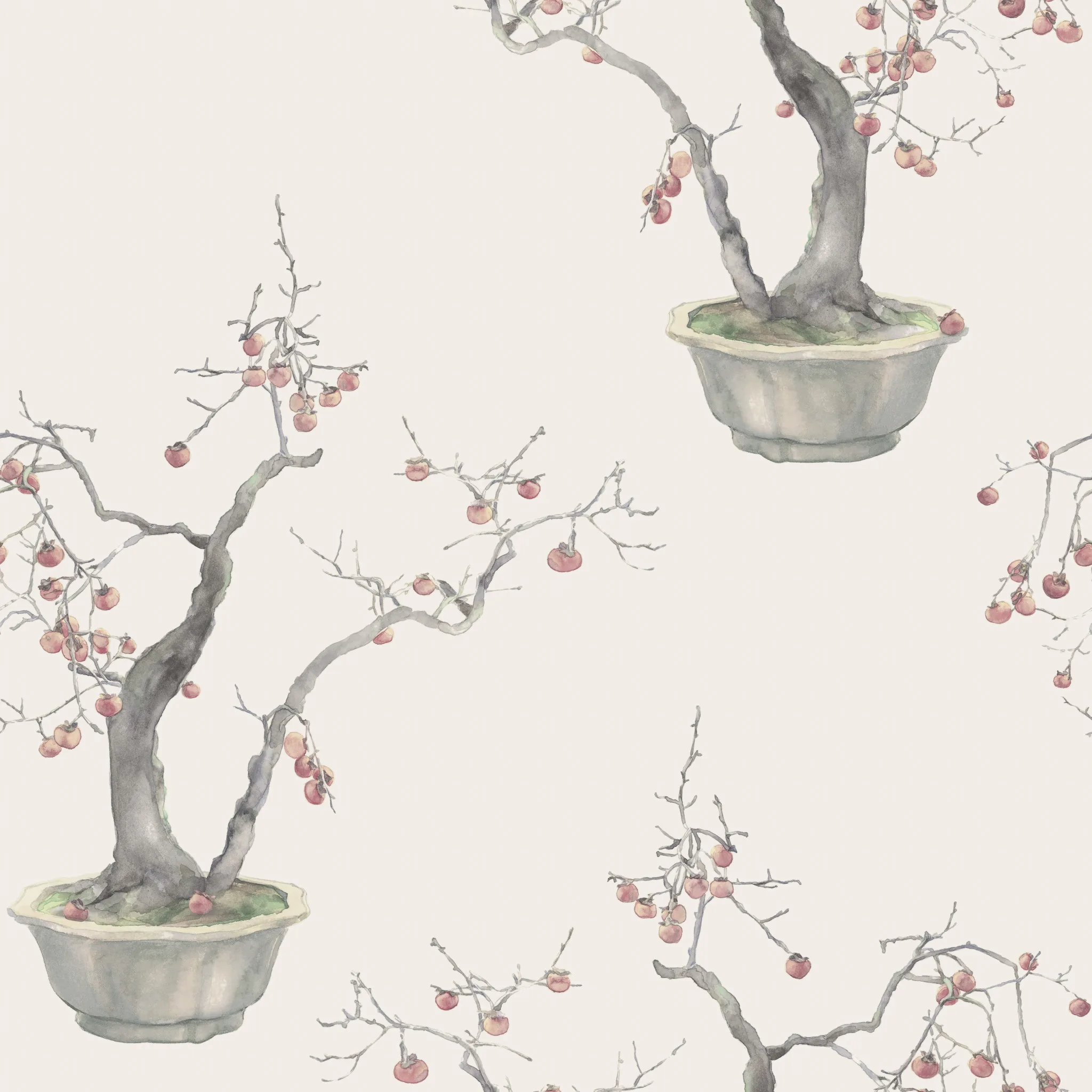 126/2004.CS.0 | Kaki Persimmon – Silver