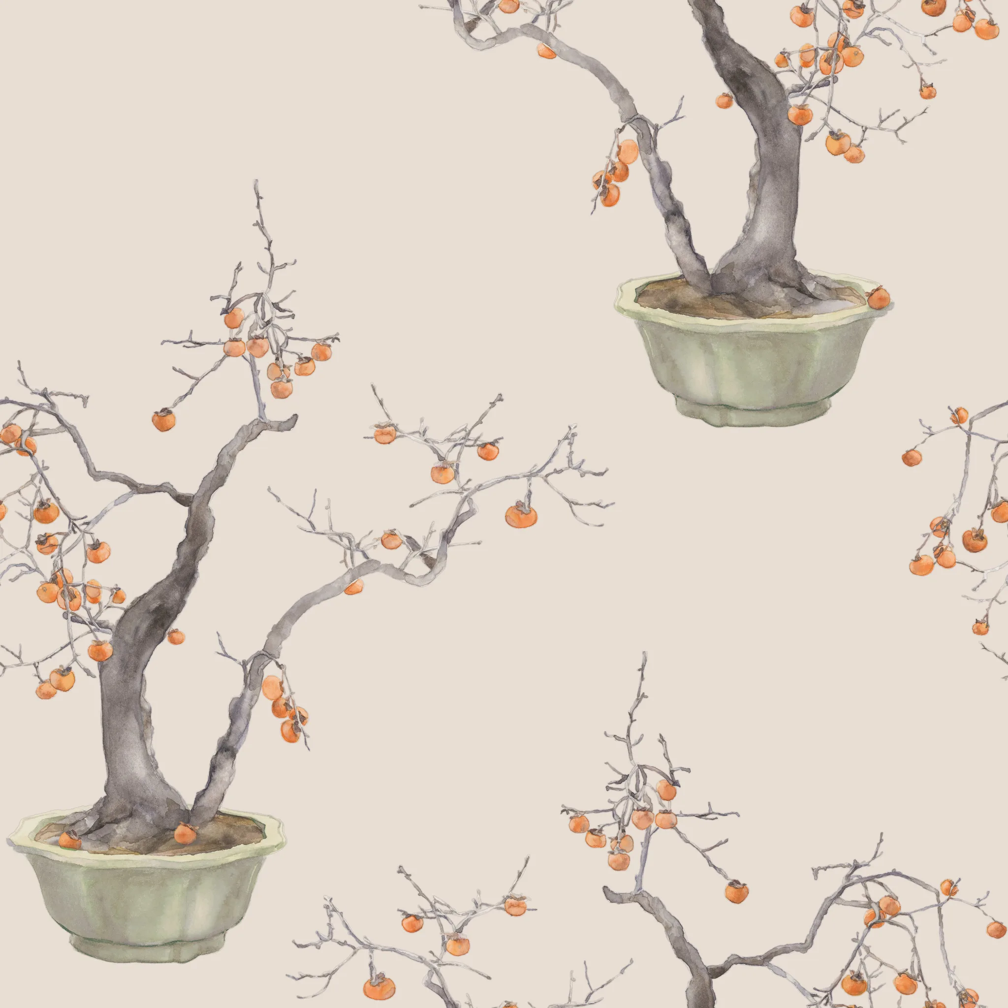 126/2005.CS.0 | Kaki Persimmon – Violet