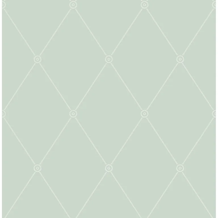 Cole & Son Large Georgian Rope Trellis in Duck Egg (100/13066.CS.0)