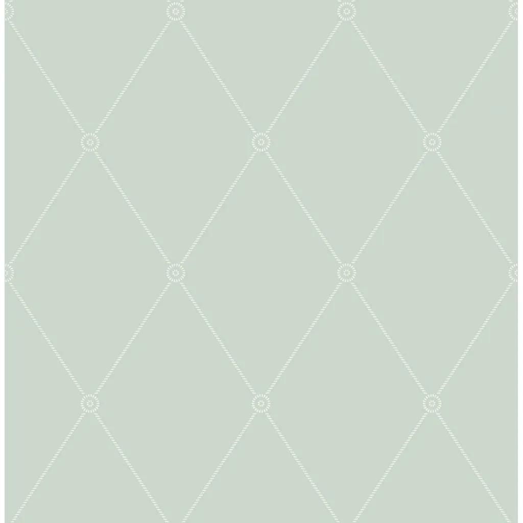 Cole & Son Large Georgian Rope Trellis in Duck Egg (100/13066.CS.0)