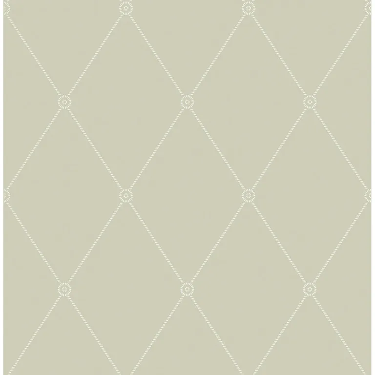 Cole & Son Large Georgian Rope Trellis in Olive (100/13065.CS.0)