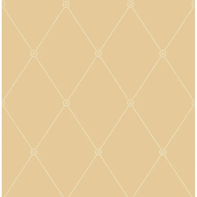 Cole & Son Large Georgian Rope Trellis in Yellow (100/13064.CS.0)