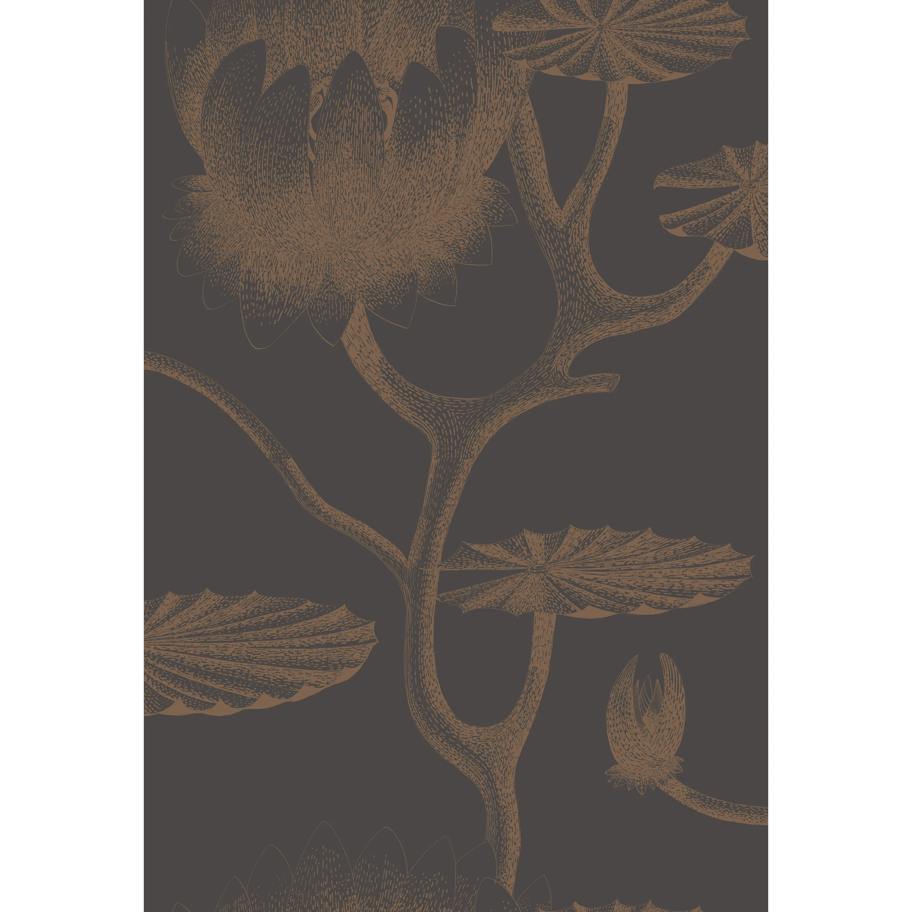 Cole & Son Lily in Black/Bronze (95/4021.CS.0)