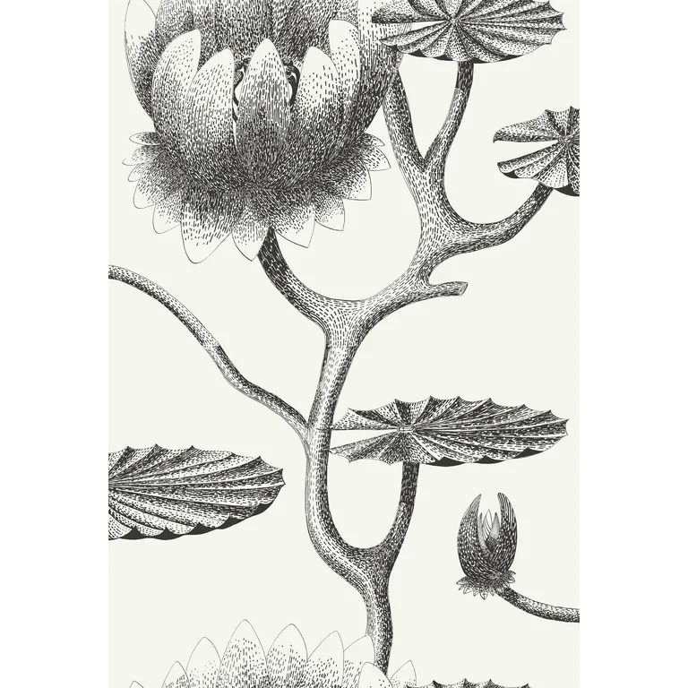 Cole & Son Lily in Black/White (95/4020.CS.0)