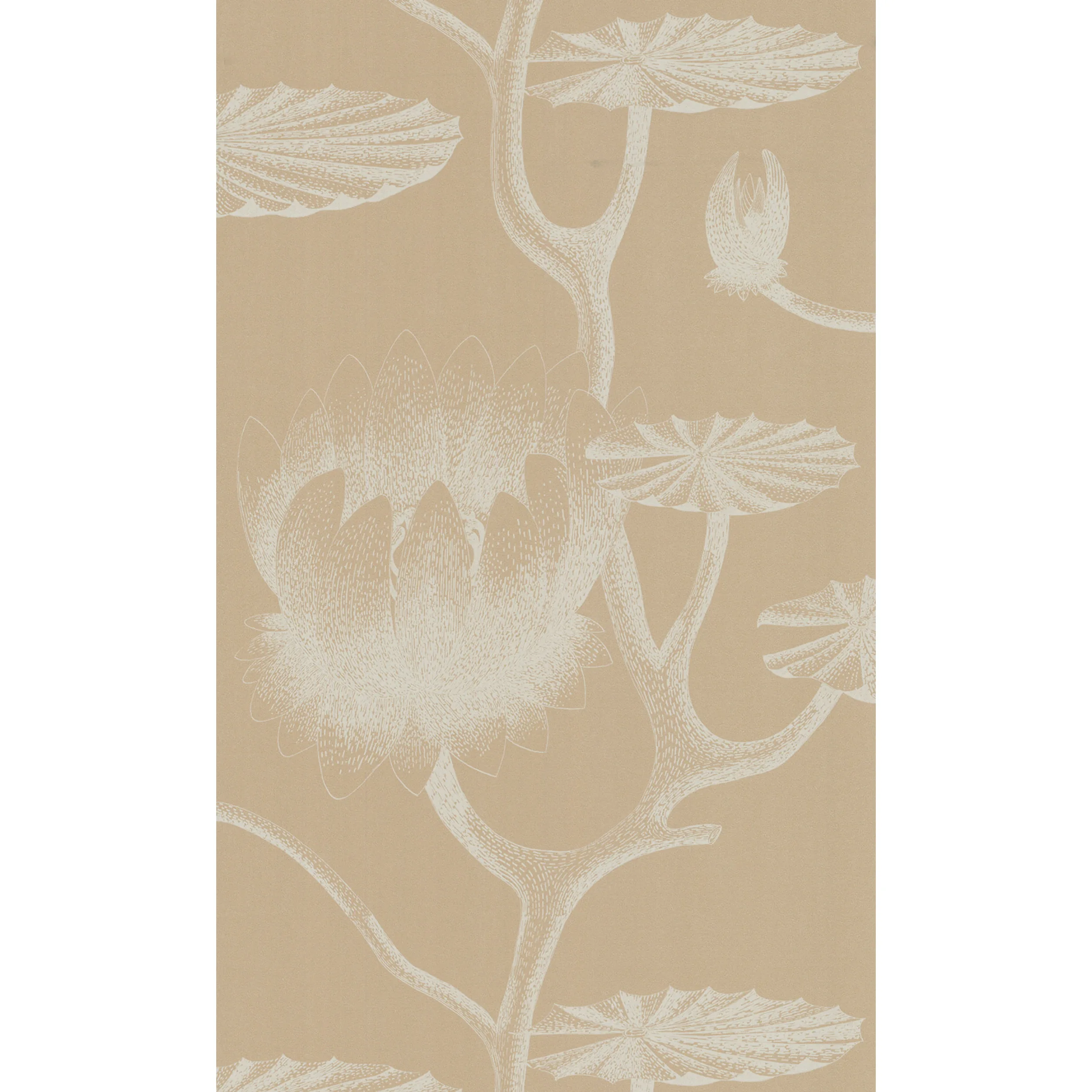 Cole & Son Lily in Ivory/Sand (69/3113.CS.0)