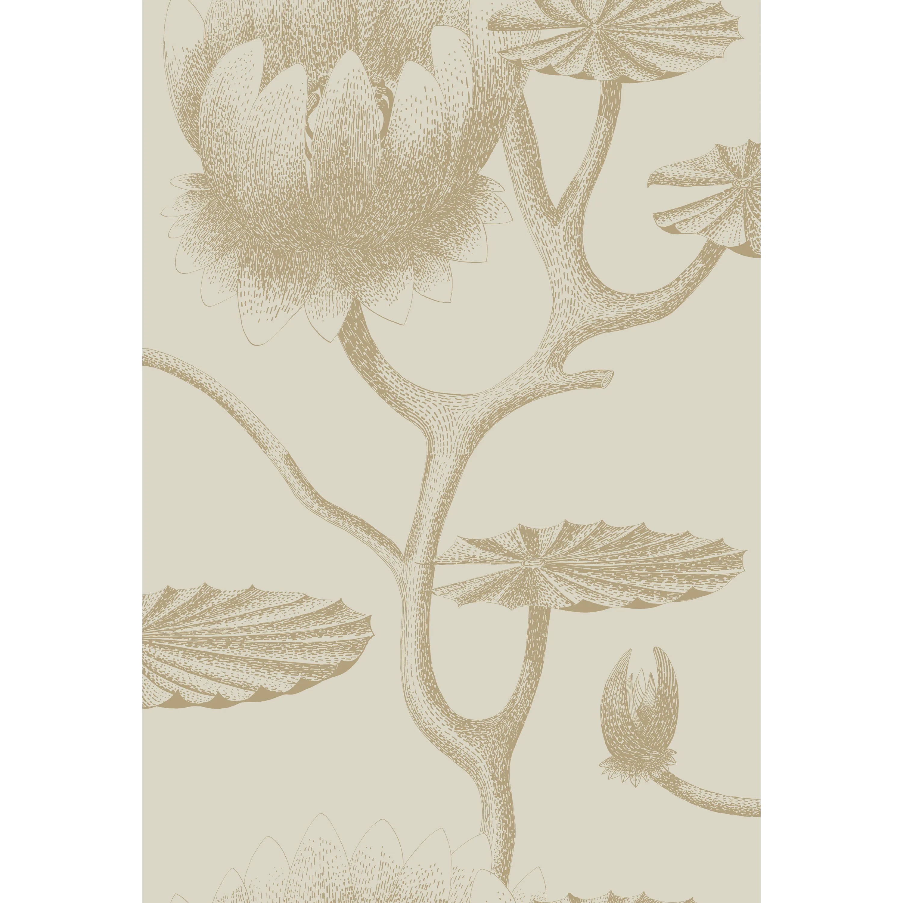 Cole & Son Lily in Linen/Gold (95/4019.CS.0)