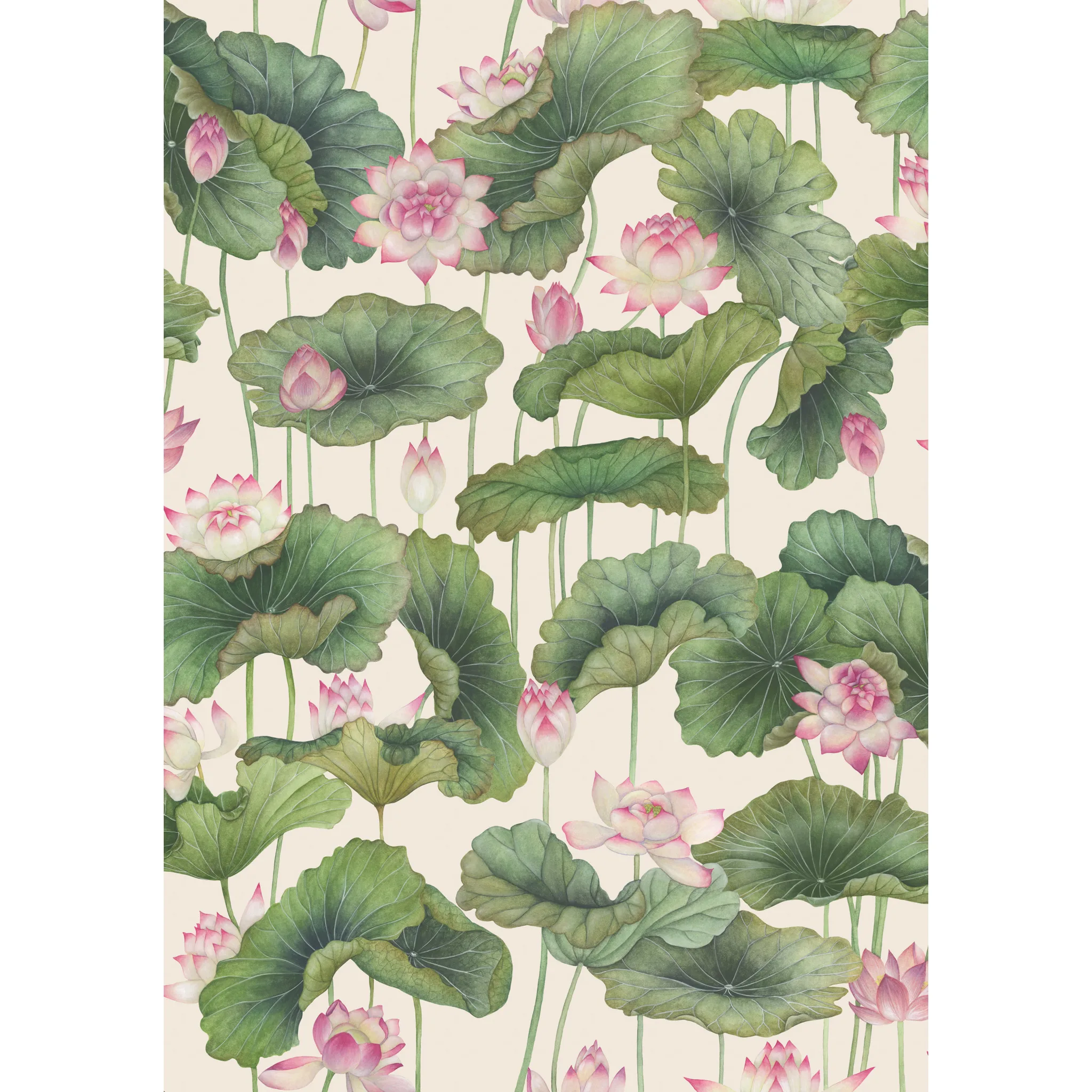 Cole & Son Lily Lotus in Pink (126/9031.CS.0)