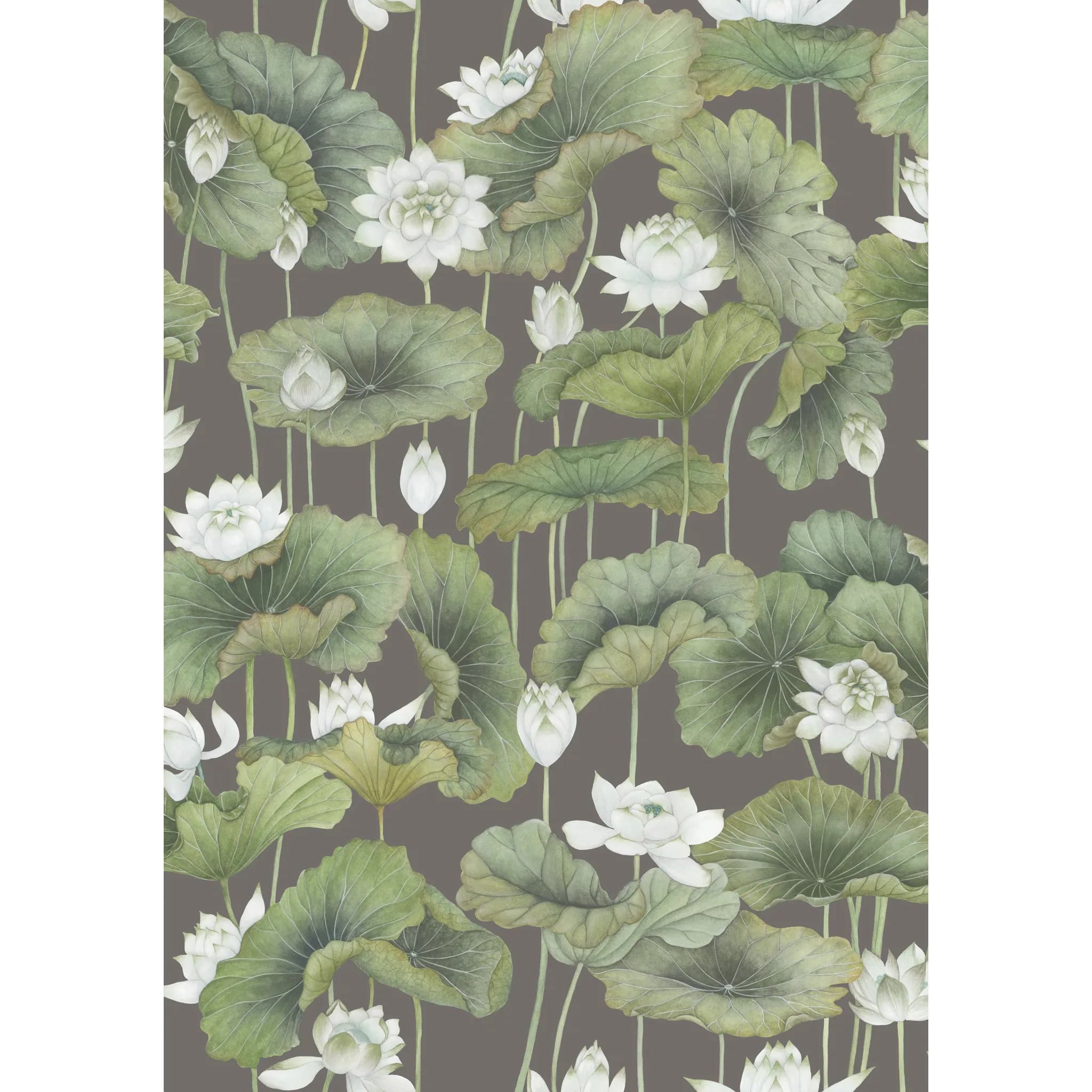 Cole & Son Lily Lotus in White/Charcoal (126/9033.CS.0)