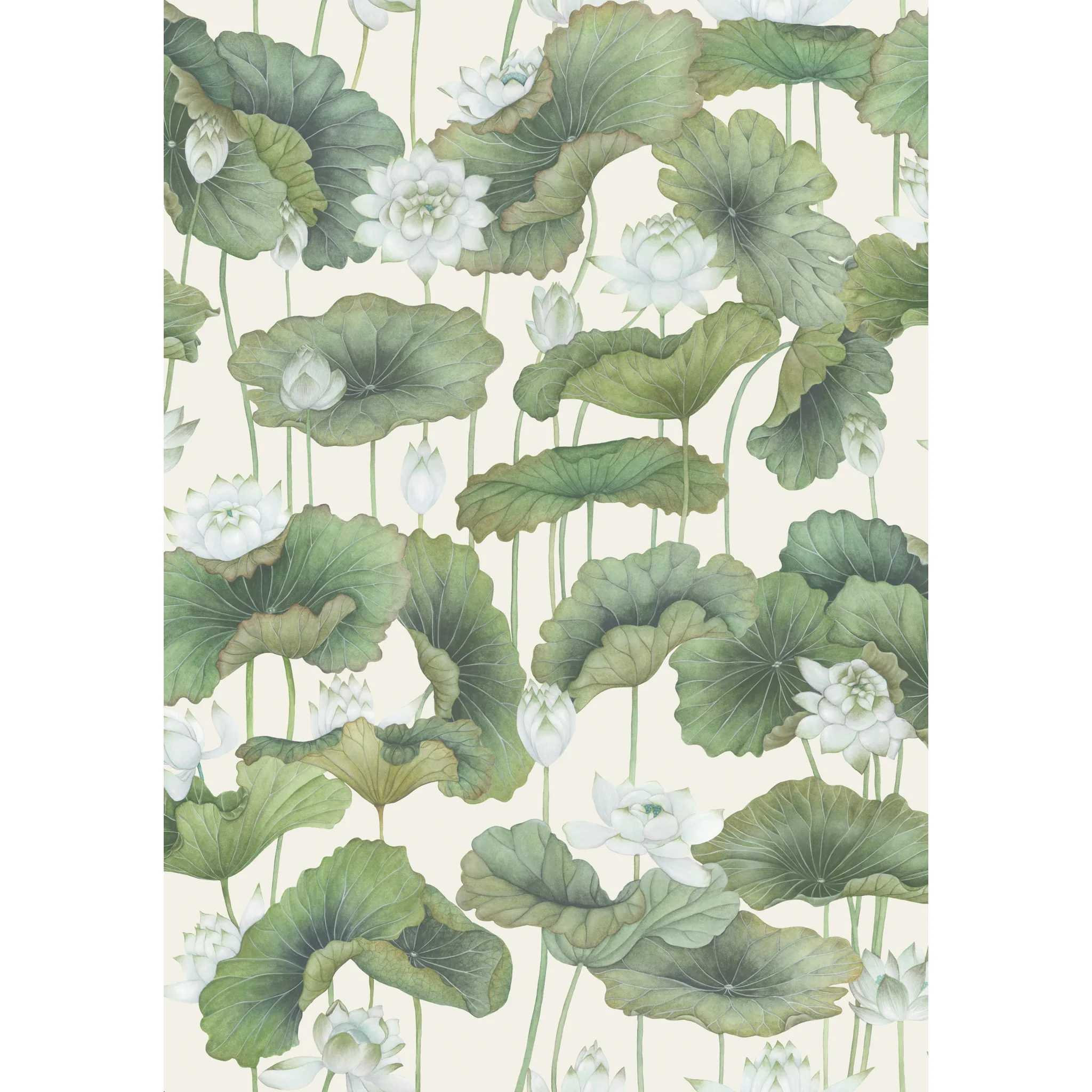 Cole & Son Lily Lotus in White/Cream (126/9034.CS.0)