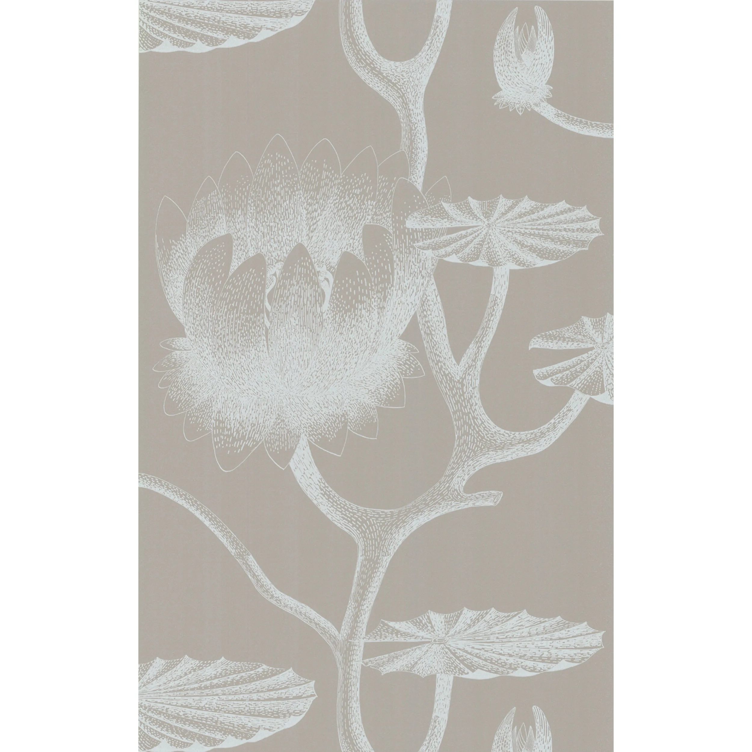 Cole & Son Lily in White/Grey (69/3110.CS.0)