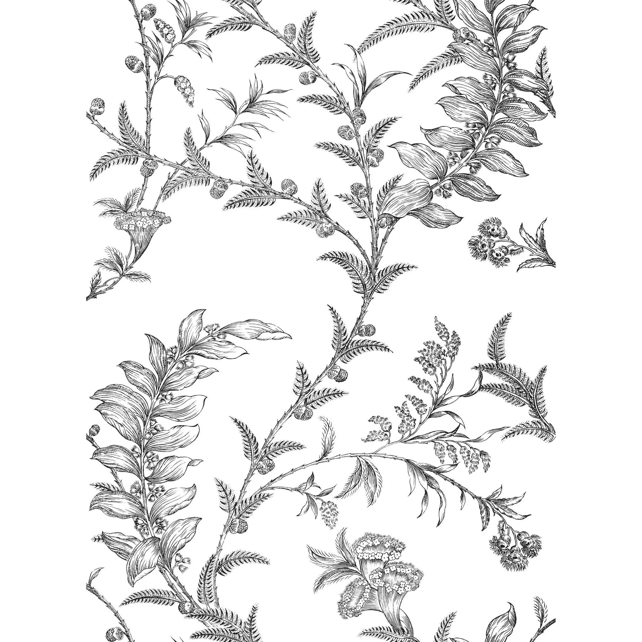 Cole & Son Ludlow in Ecru (88/1005.CS.0)