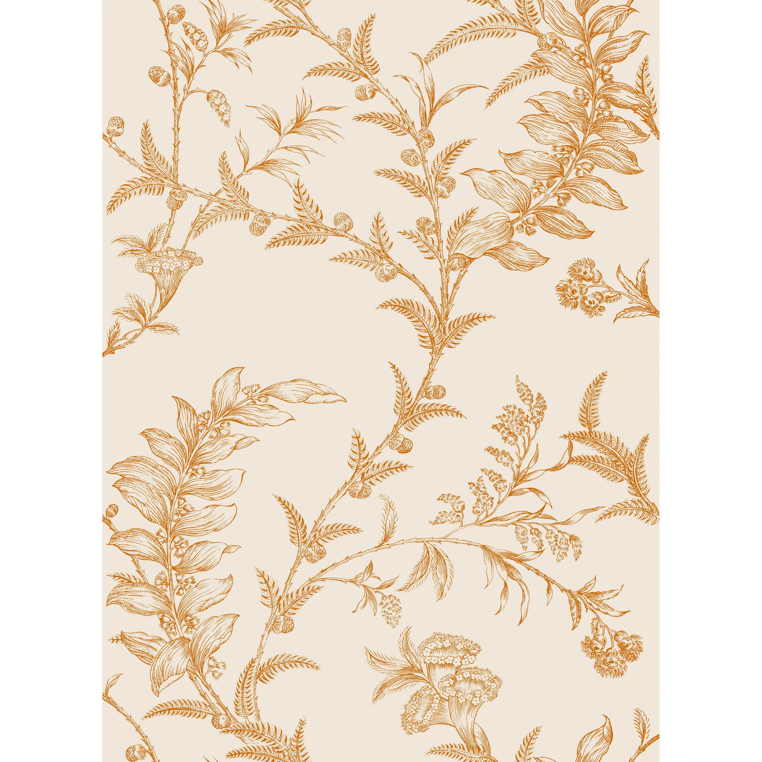 Cole & Son Ludlow in Peach (88/1003.CS.0)