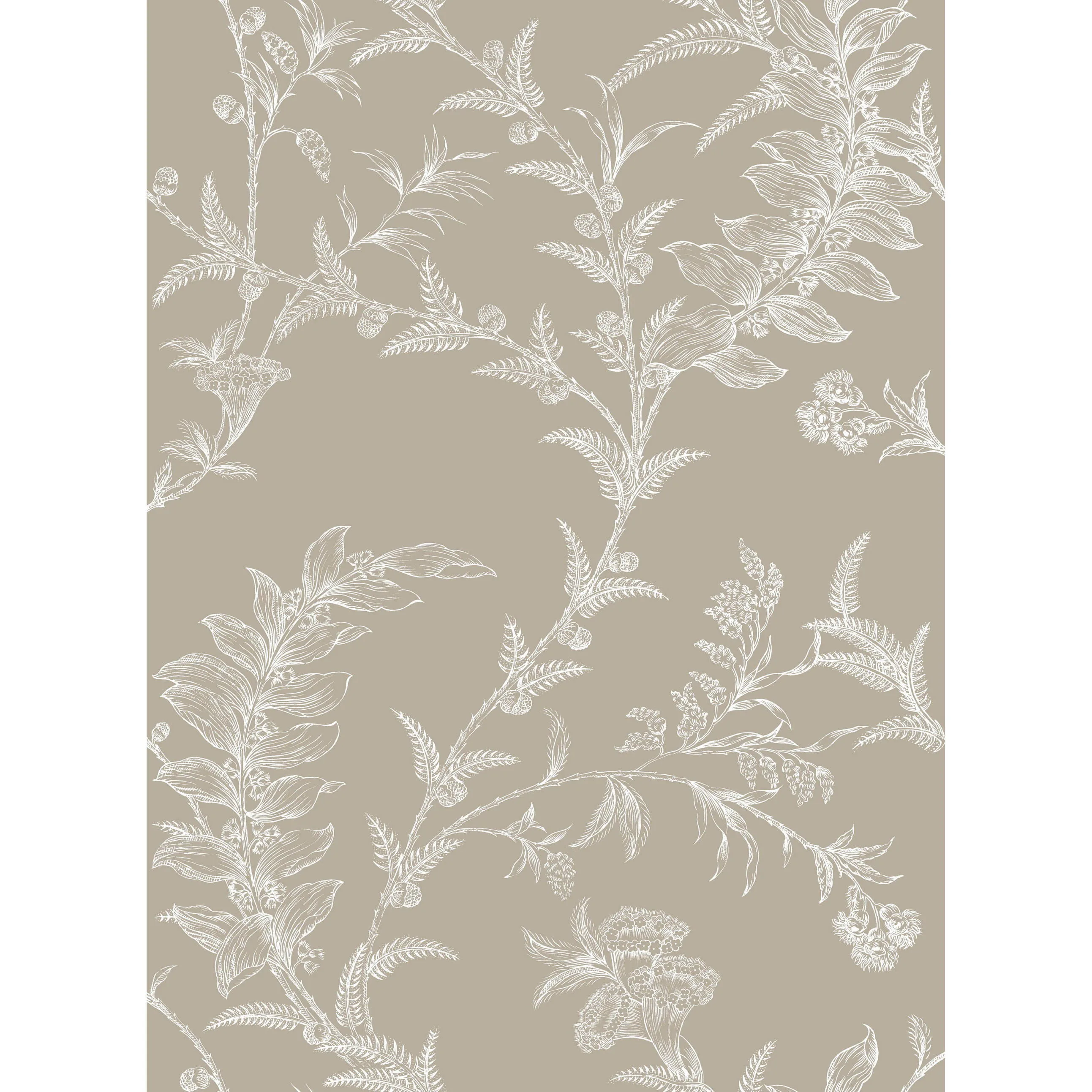 Cole & Son Ludlow in Taupe (88/1001.CS.0)
