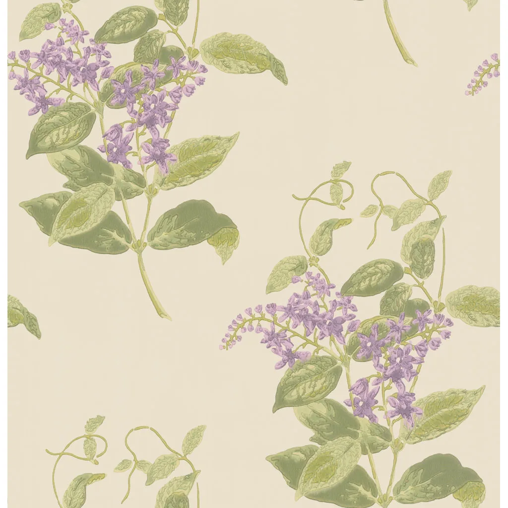 Cole & Son Madras Violet in Olive & Lavender (100/12056.CS.0)