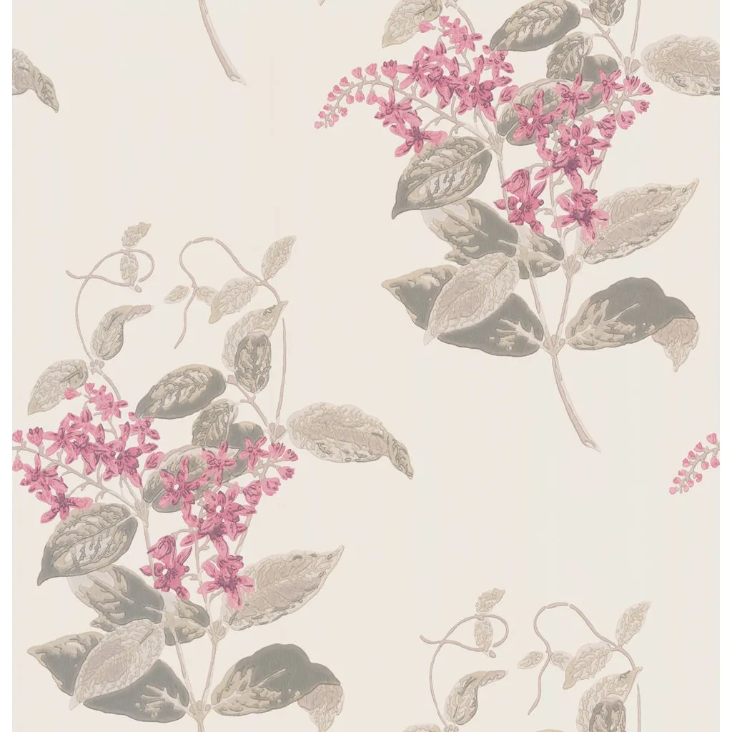 Cole & Son Madras Violet in Pink (100/12058.CS.0)