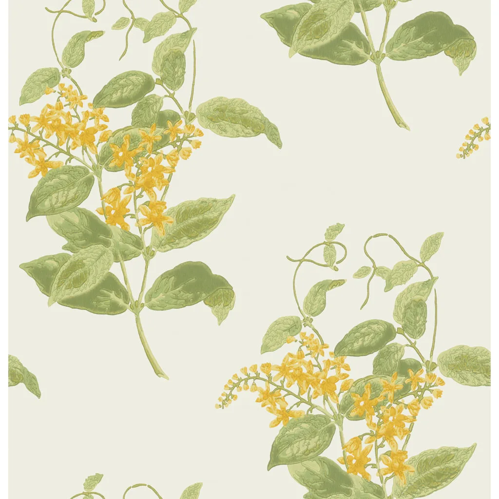 Cole & Son Madras Violet in Yellow (100/12059.CS.0)