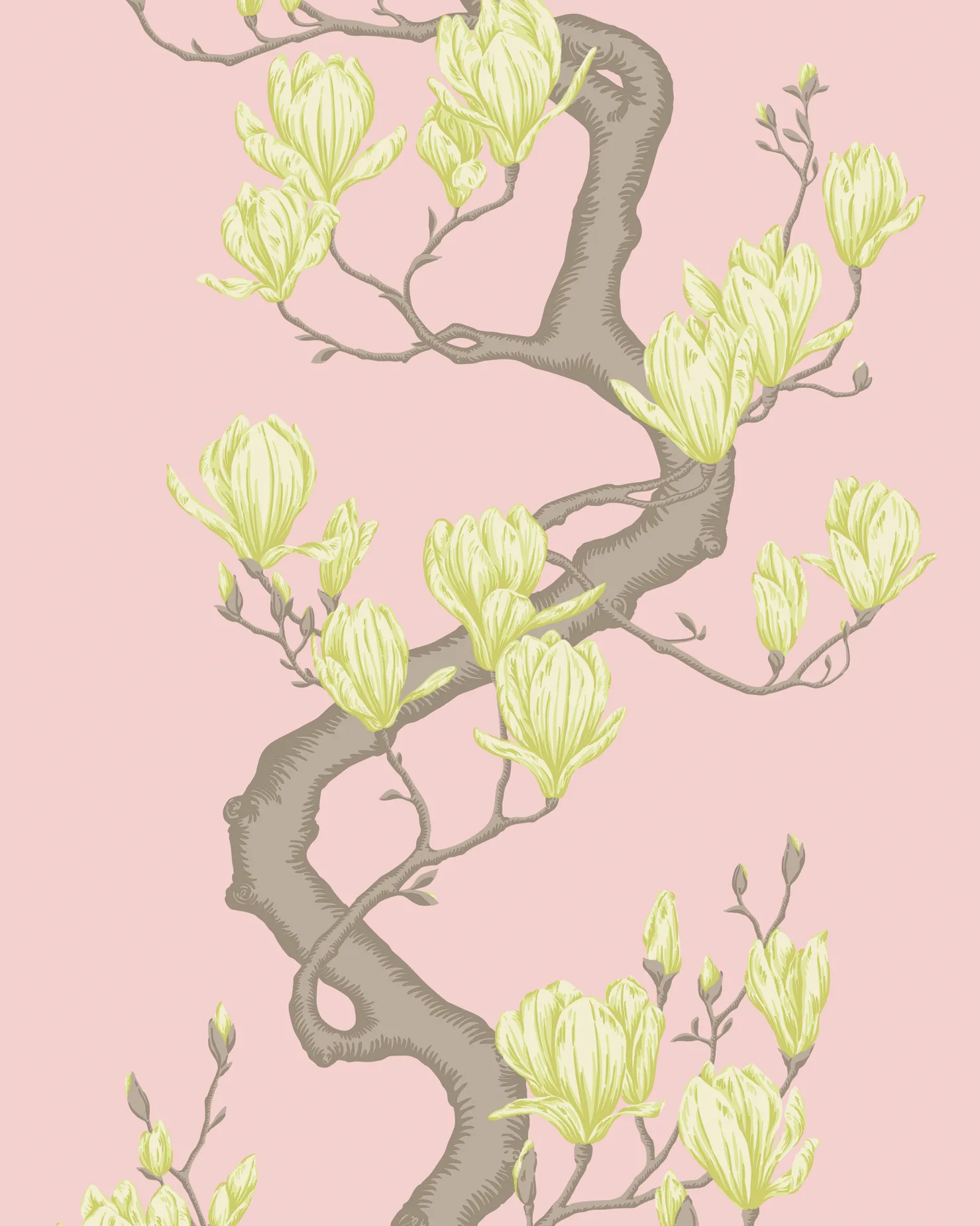 128/1005.CS.0 | Magnolia Tree – Rose Pink