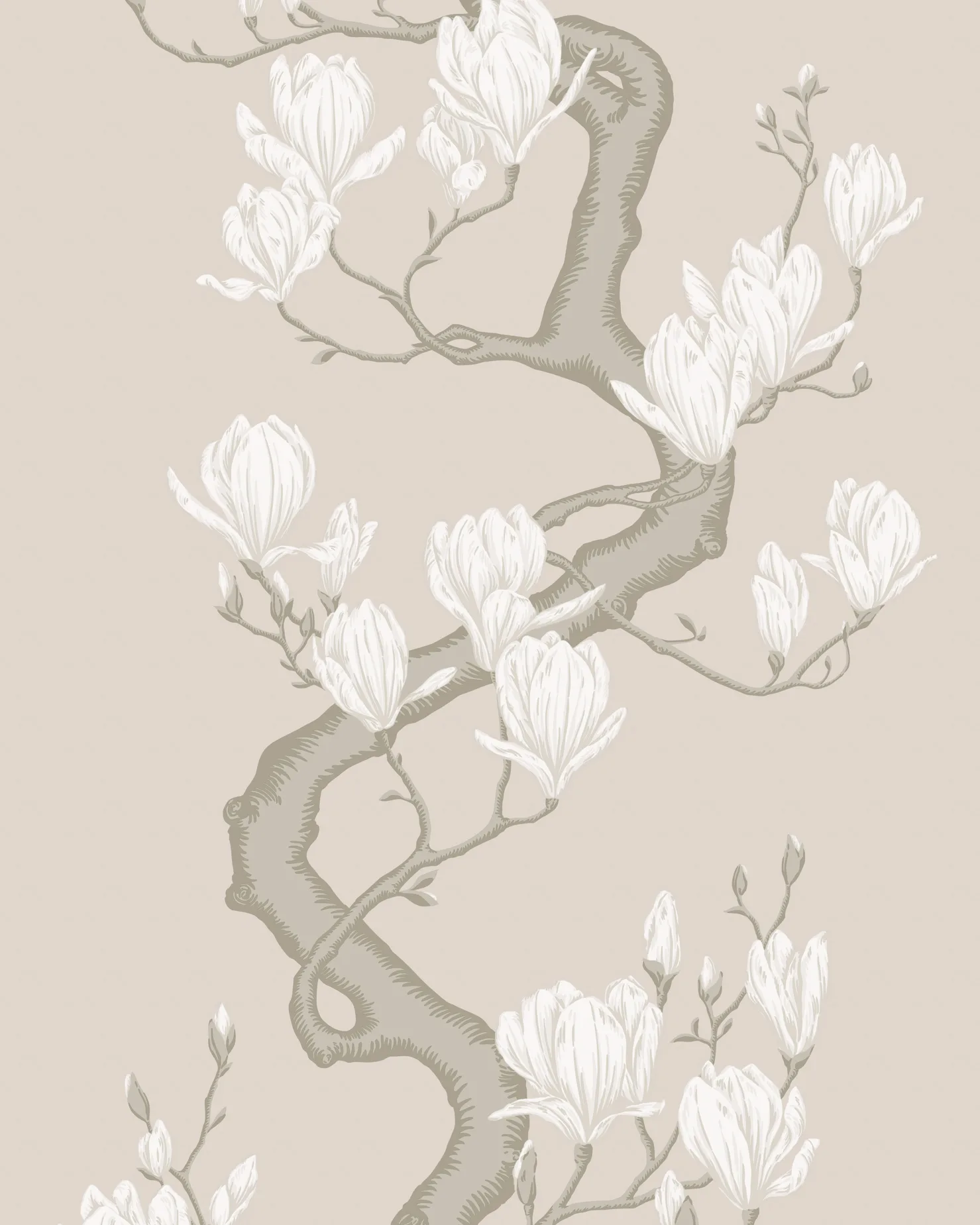 128/1003.CS.0 | Magnolia Tree – Soft Cream