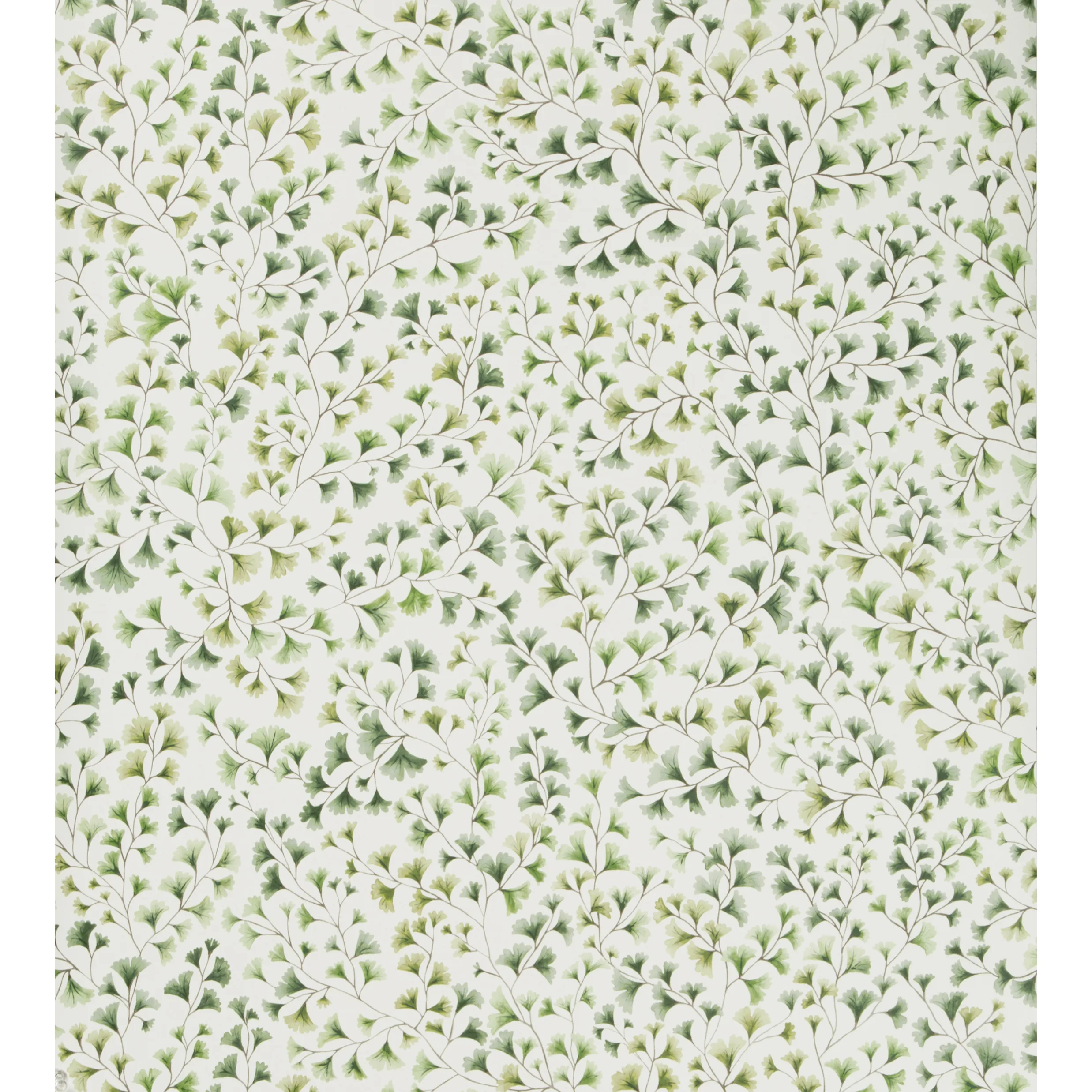 Cole & Son Maidenhair in Olive (115/6018.CS.0)