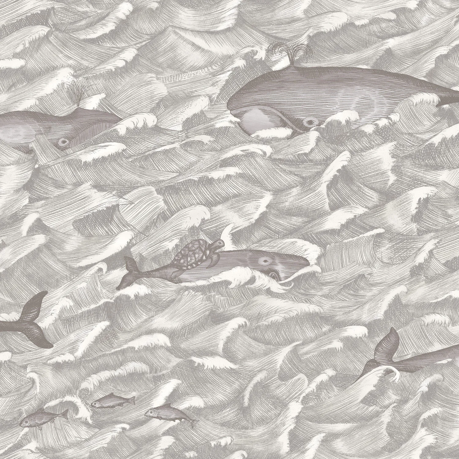 Cole & Son Melville in Sft Blk&wht (103/1004.CS.0)