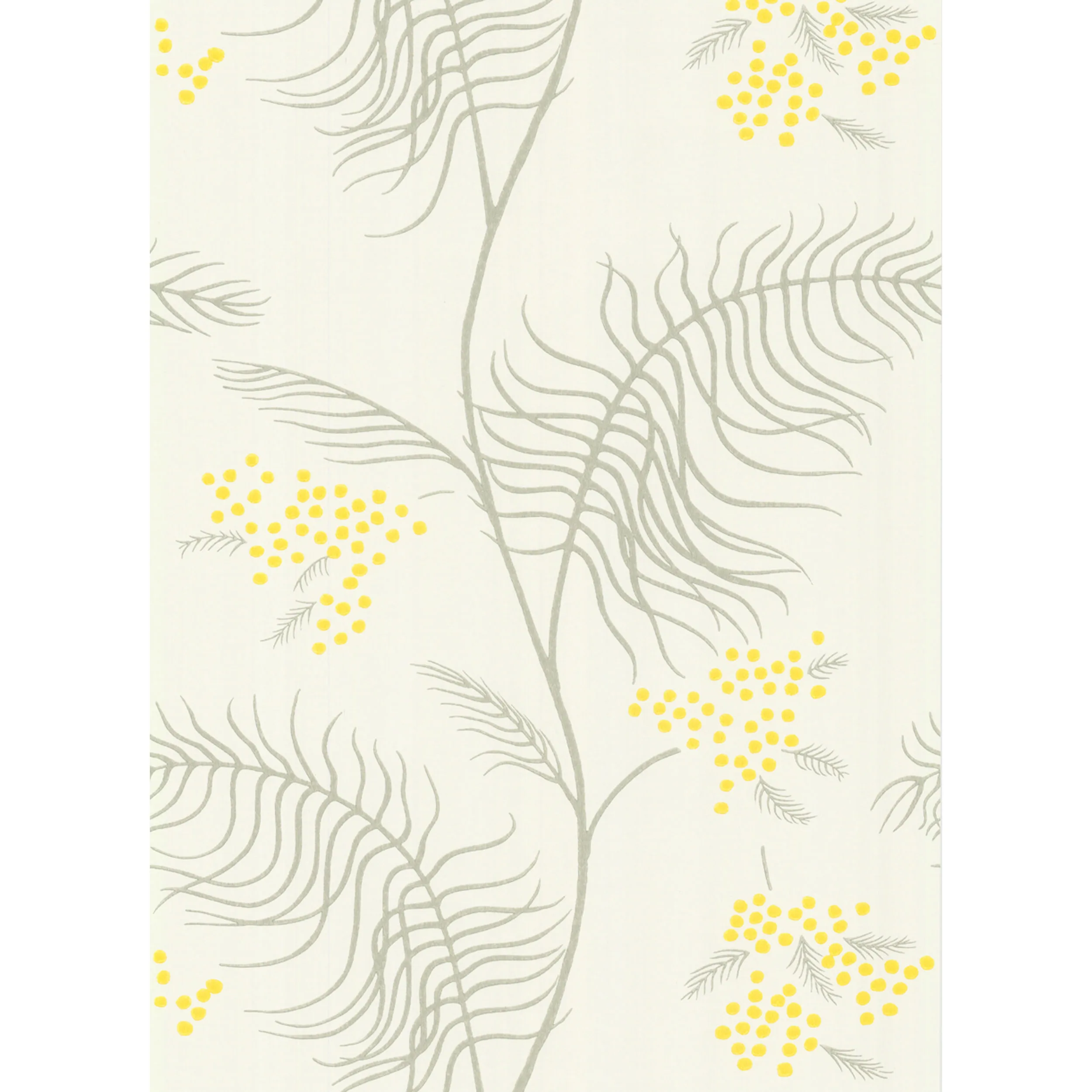Cole & Son Mimosa in White (69/8132.CS.0)