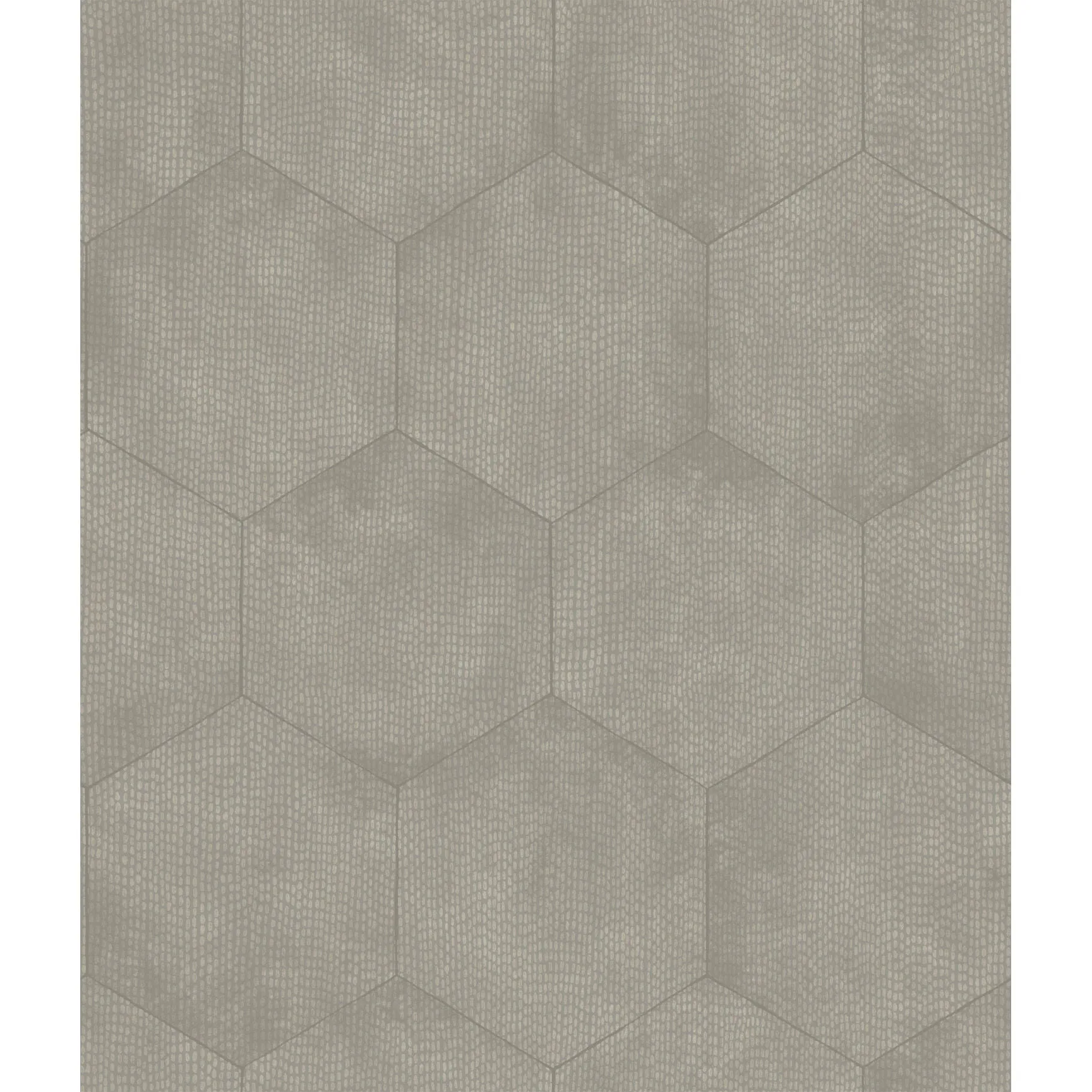 Cole & Son Mineral in Grey (107/6030.CS.0)