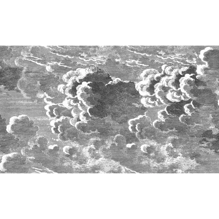 Cole & Son Nuvolette in Black/White (114/28054.CS.0)