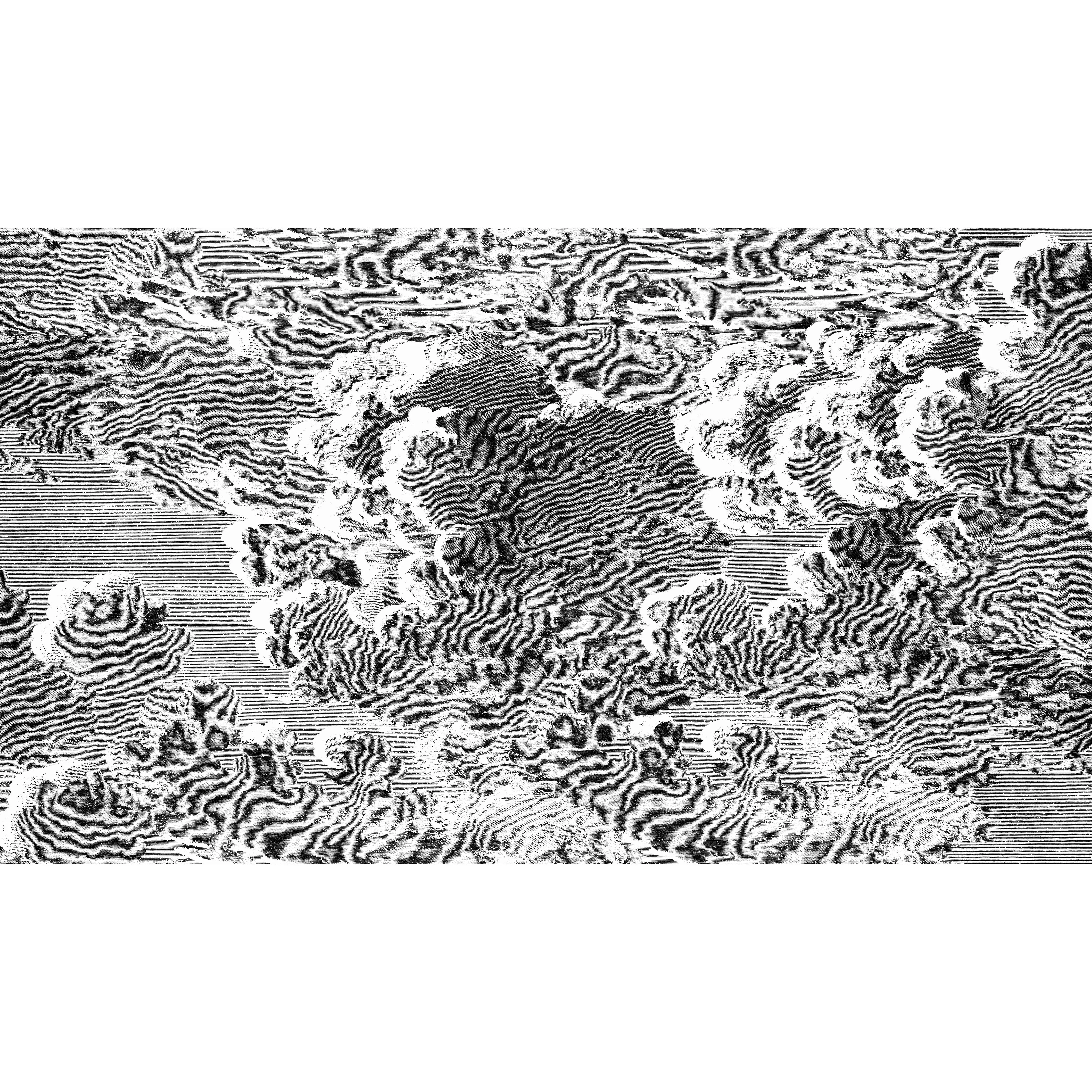 Cole & Son Nuvolette in Black/White (114/28054.CS.0)