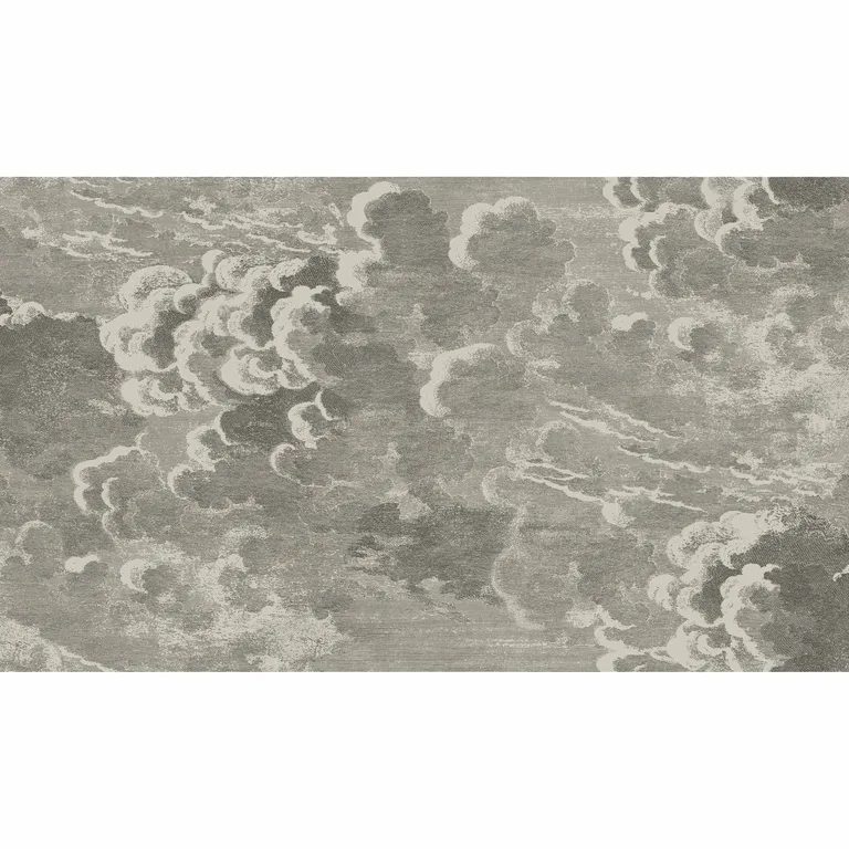Cole & Son Nuvolette in Gilver & Charcoal (114/2004.CS.0)
