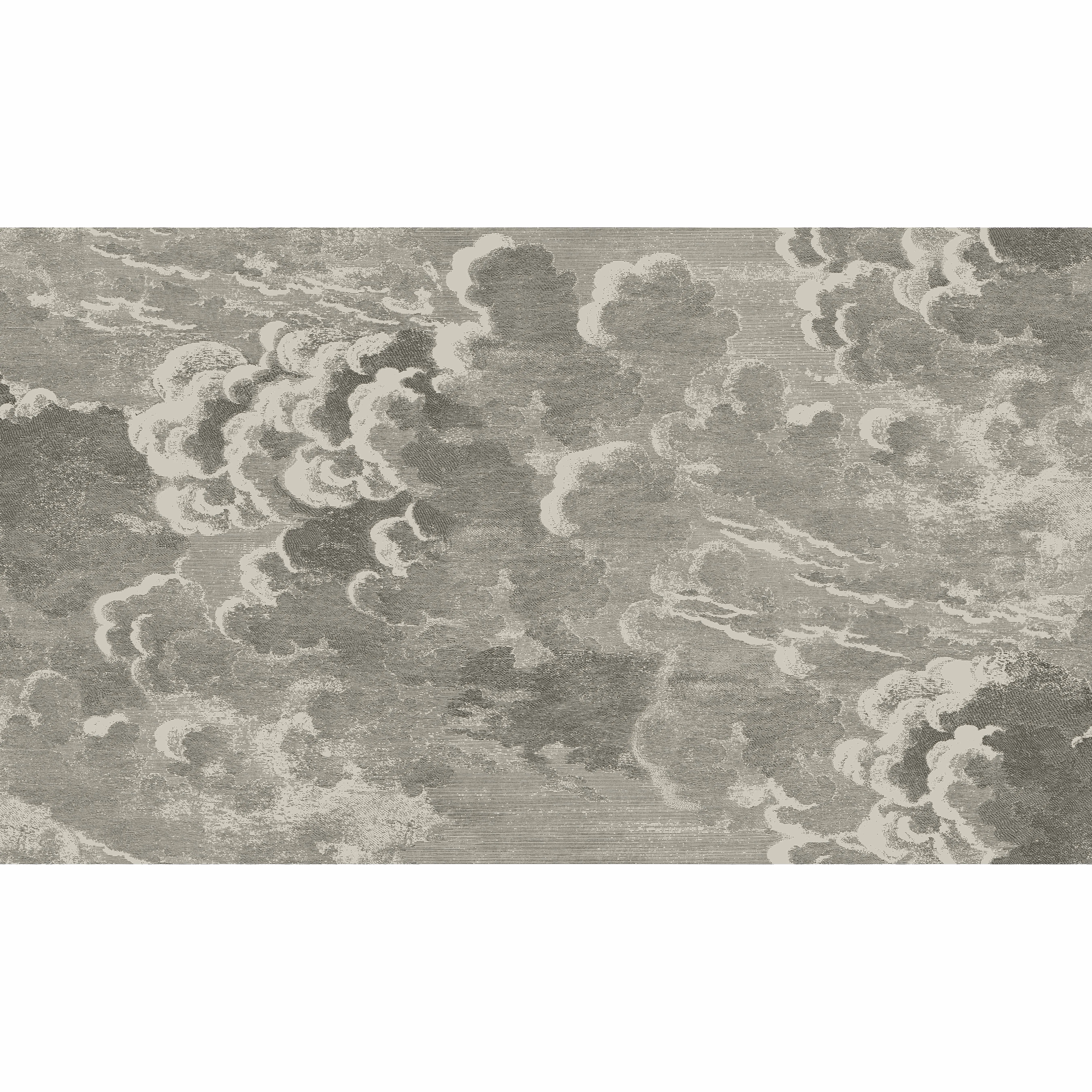Cole & Son Nuvolette in Gilver & Charcoal (114/2004.CS.0)