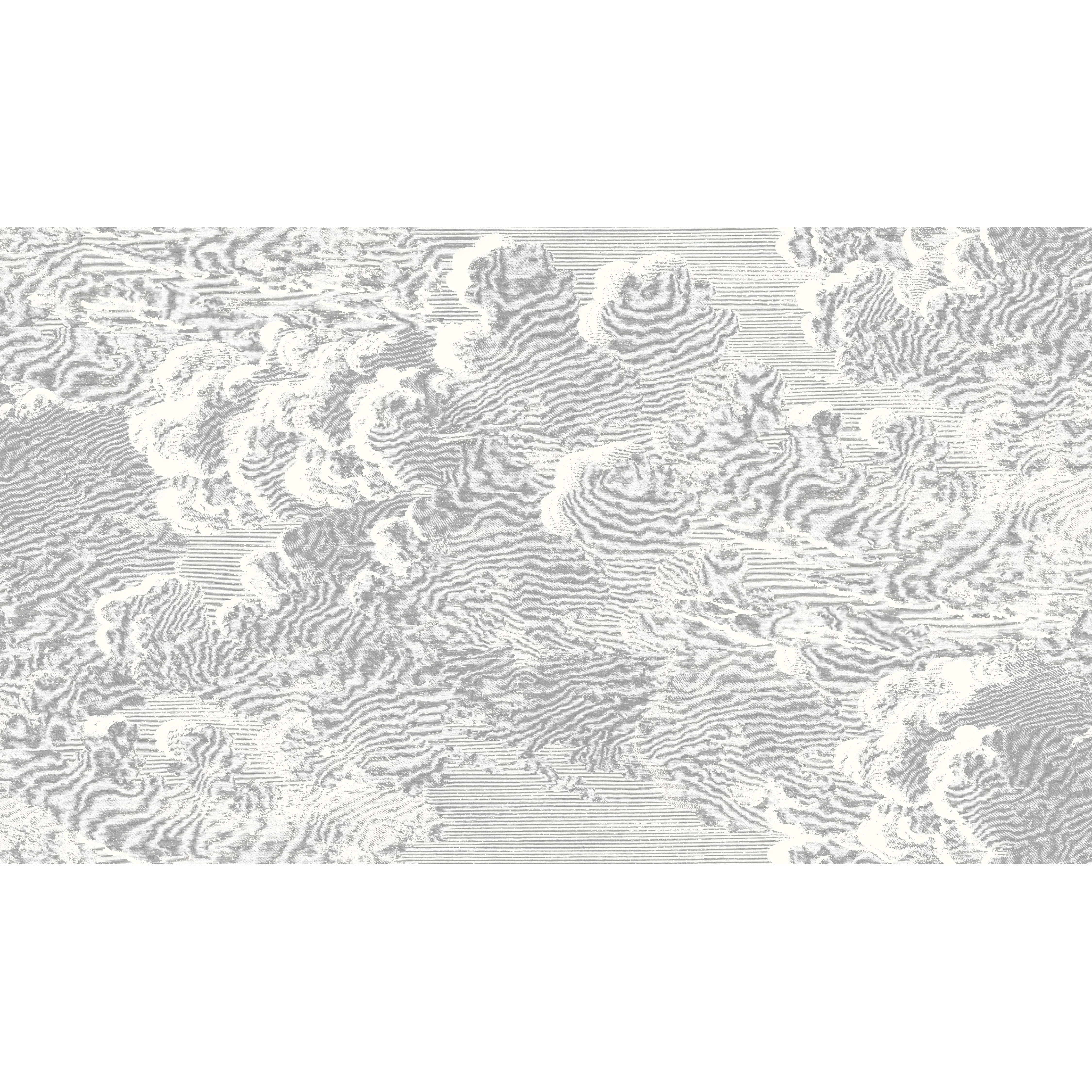 Cole & Son Nuvolette in Soot/Snow (114/28055.CS.0)