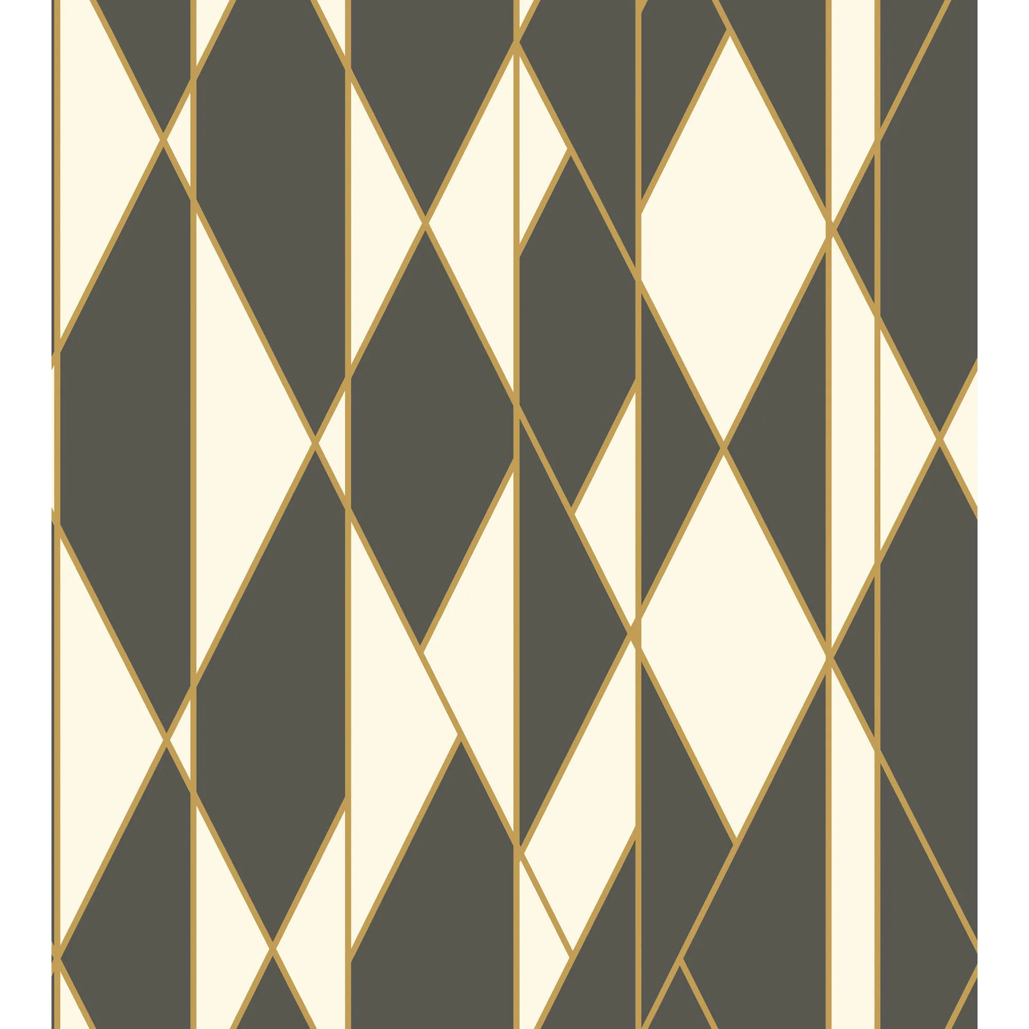 Cole & Son Oblique in Black and White (105/11049.CS.0)