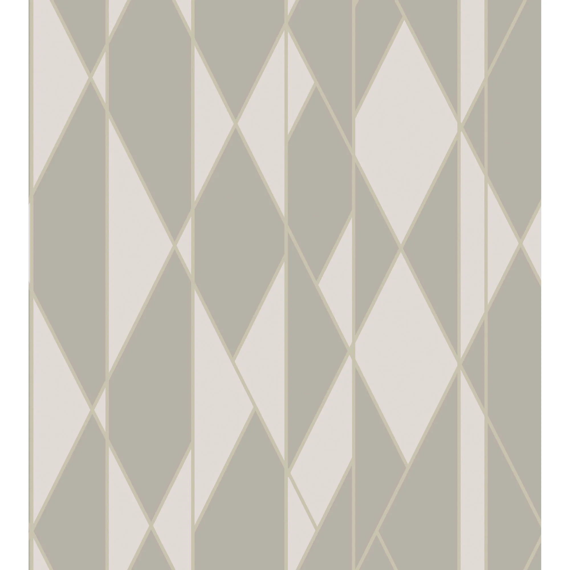 Cole & Son Oblique in Grey and White (105/11046.CS.0)
