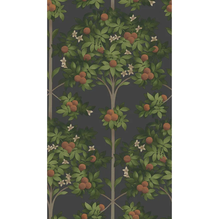 Cole & Son Orange Blossom in Orange & Spring Green/Black (117/1003.CS.0)