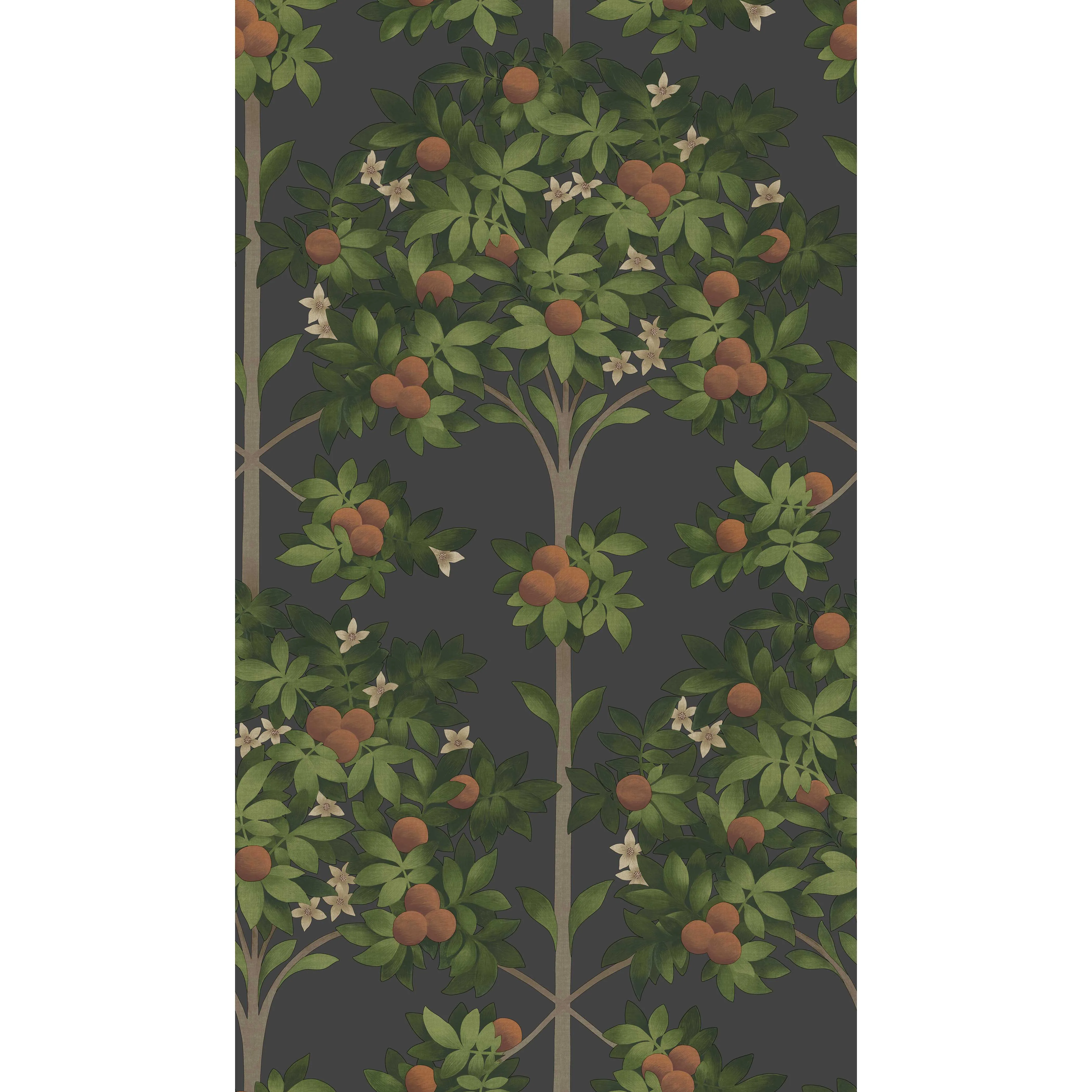 Cole & Son Orange Blossom in Orange & Spring Green/Black (117/1003.CS.0)