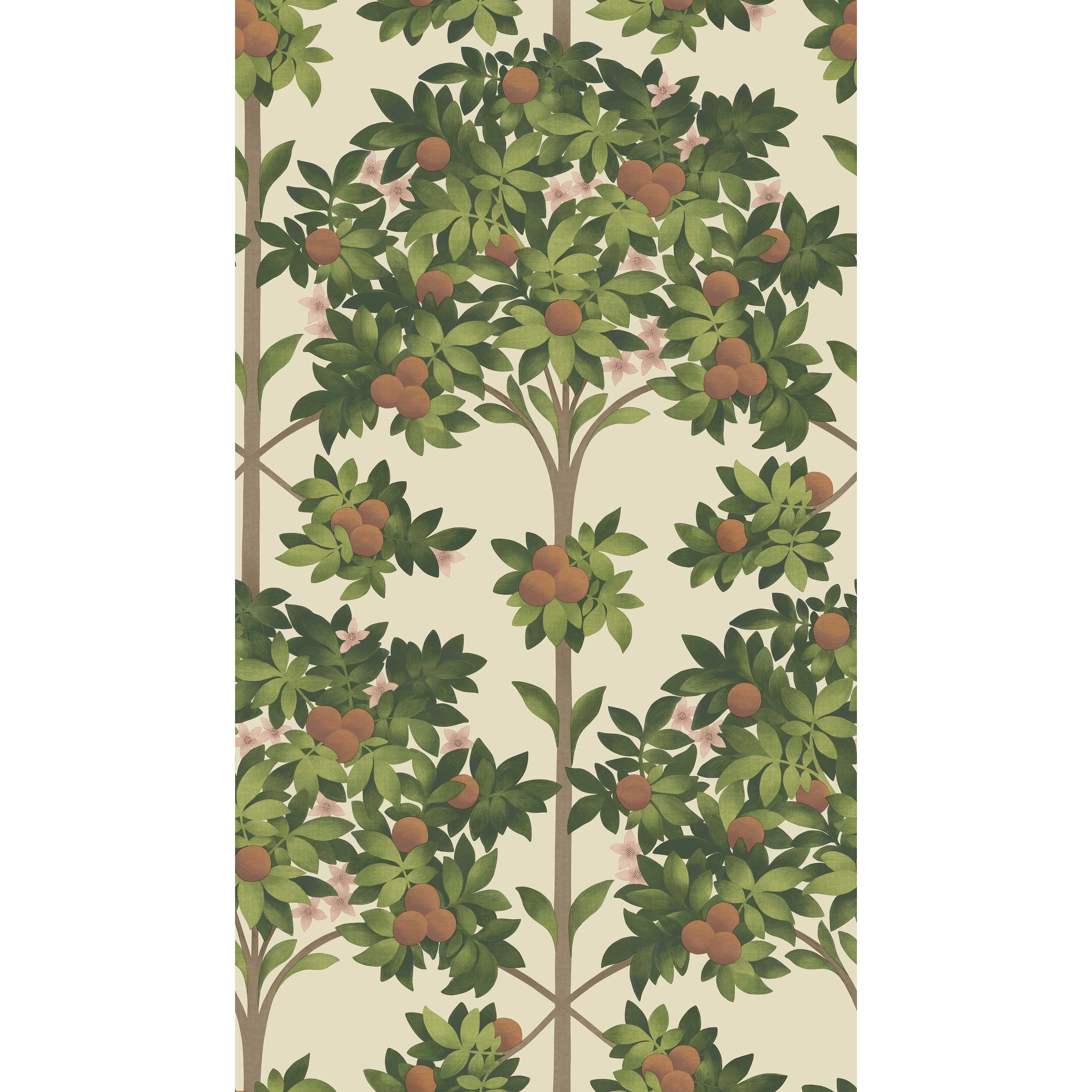Cole & Son Orange Blossom in Orange & Spring Green/Parch (117/1001.CS.0)