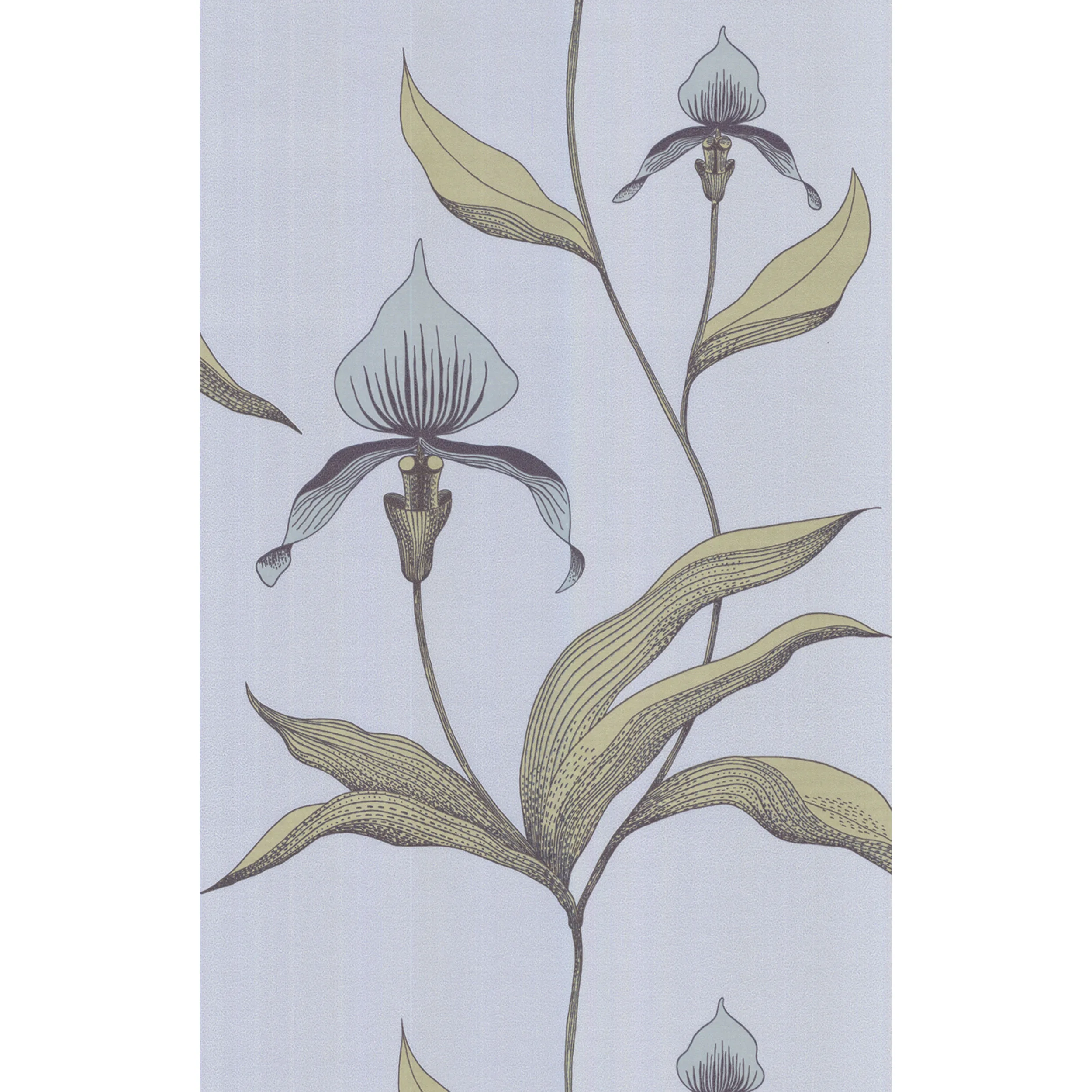66/4026.CS.0 | Orchid – Blue Gr