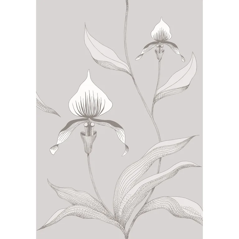 Cole & Son Orchid in Grey/White (95/10055.CS.0)
